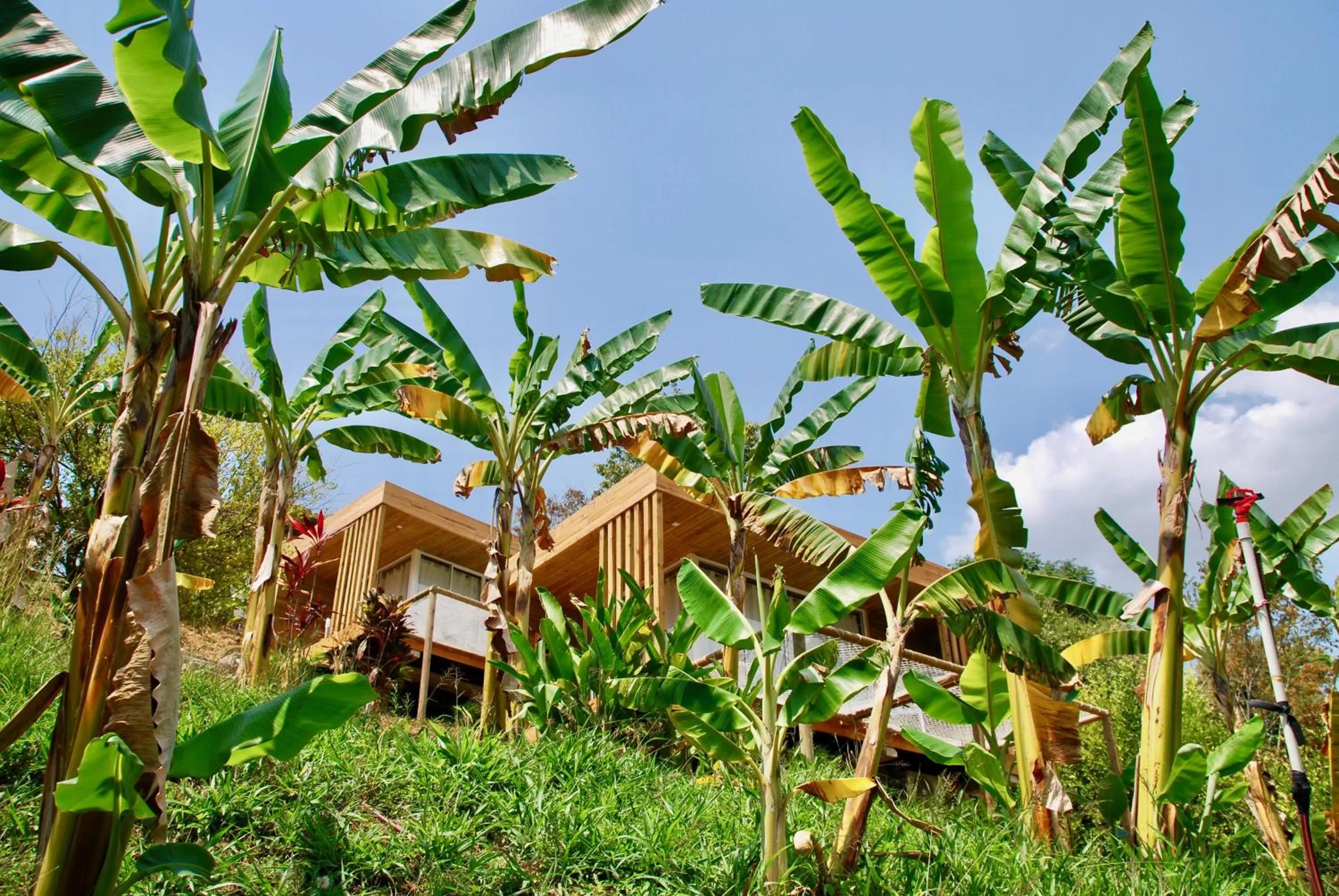 Day in Sweet Harmony Hotel Boutique by Xarm Hotels