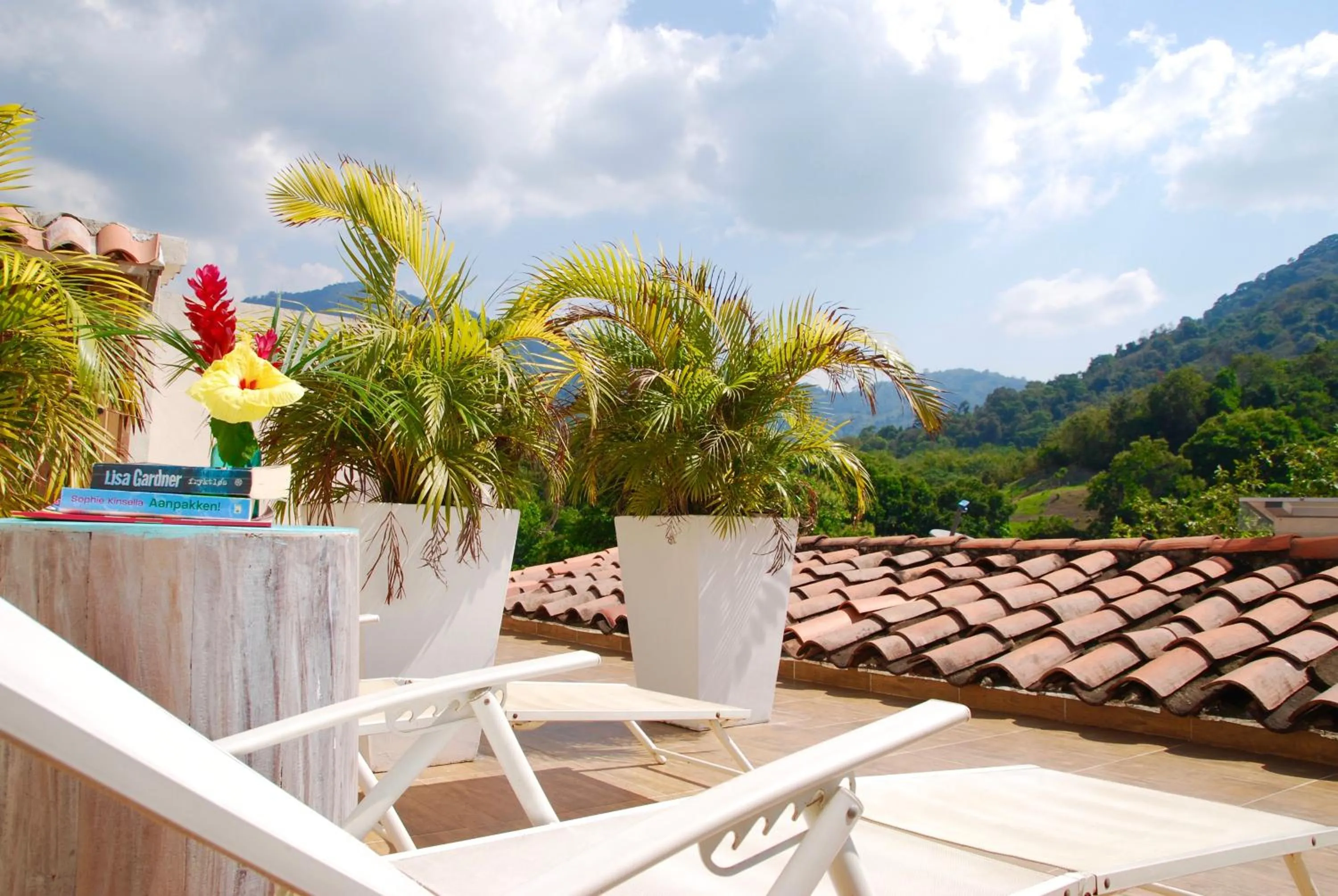 Natural landscape in Sweet Harmony Hotel Boutique by Xarm Hotels