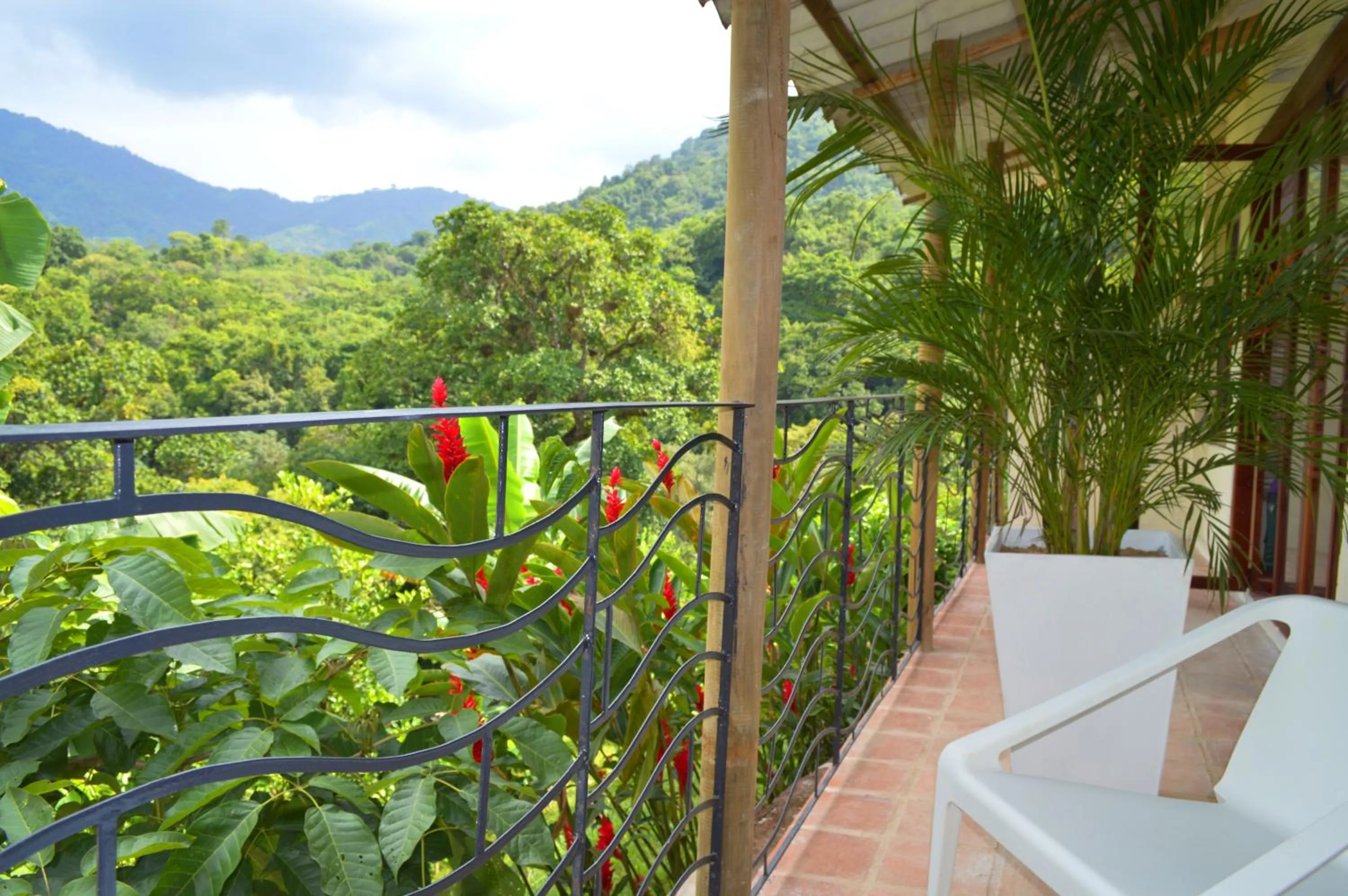 Patio in Sweet Harmony Hotel Boutique by Xarm Hotels