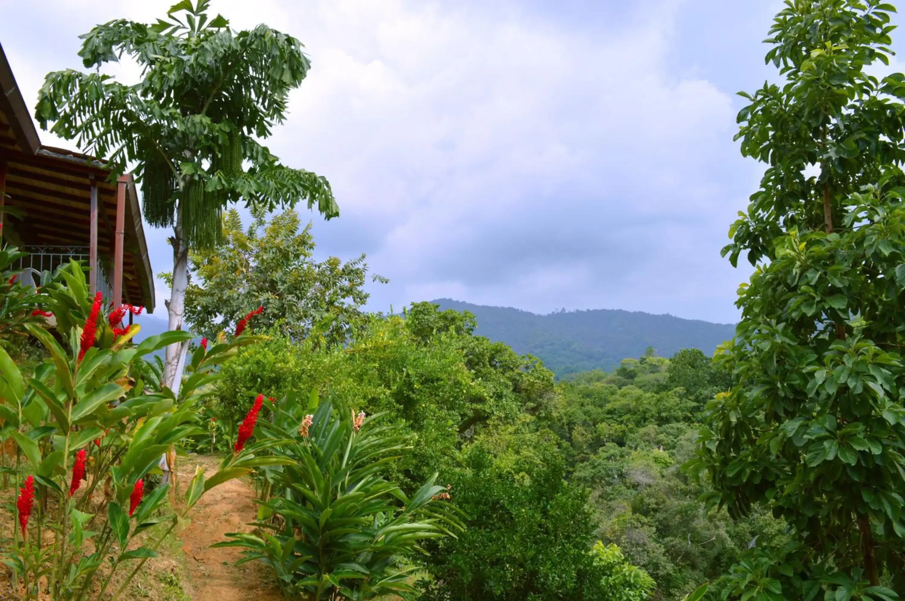 Day in Sweet Harmony Hotel Boutique by Xarm Hotels Day in Sweet Harmony Hotel Boutique by Xarm Hotels