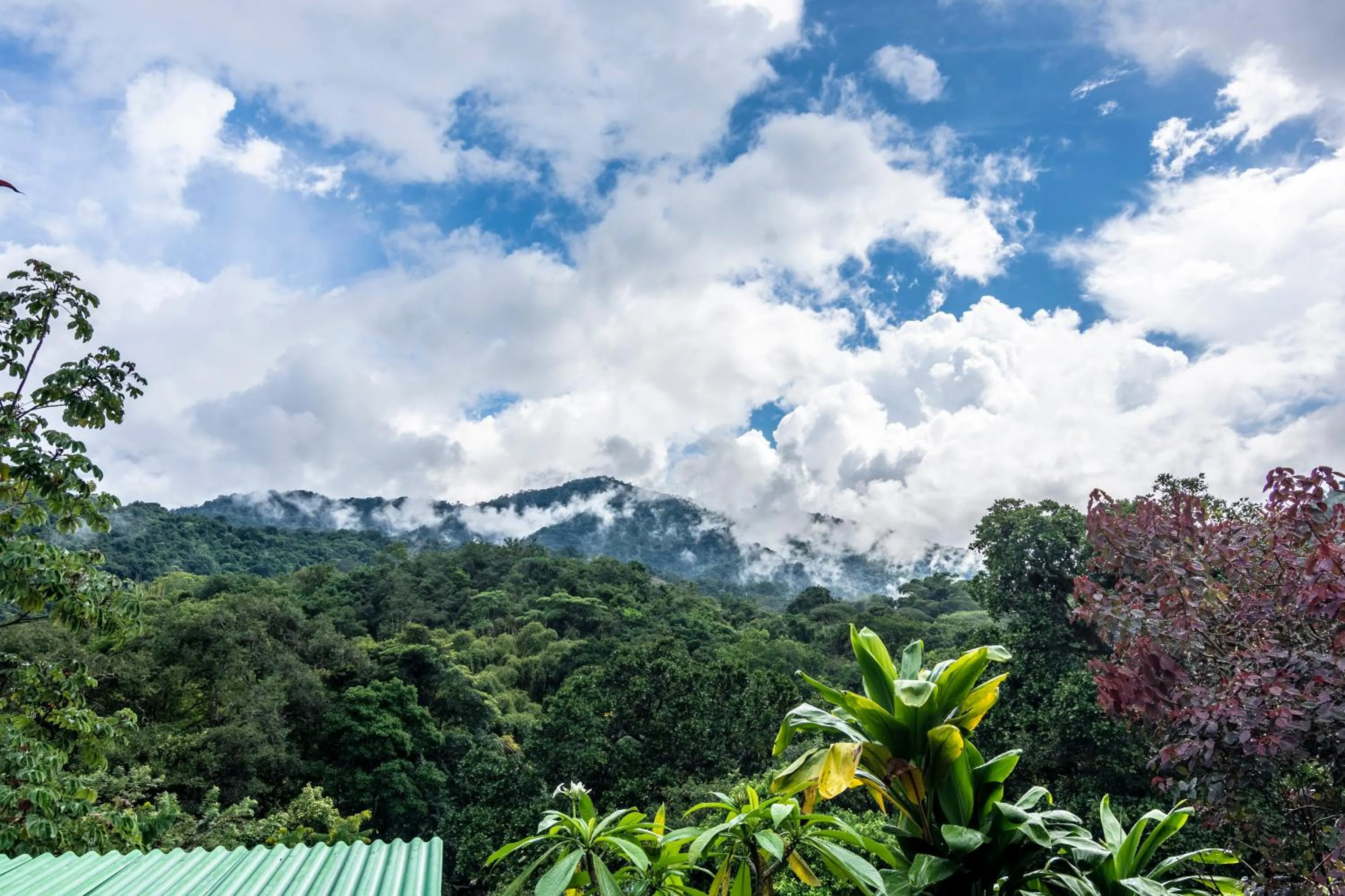 Nearby landmark in Sweet Harmony Hotel Boutique by Xarm Hotels