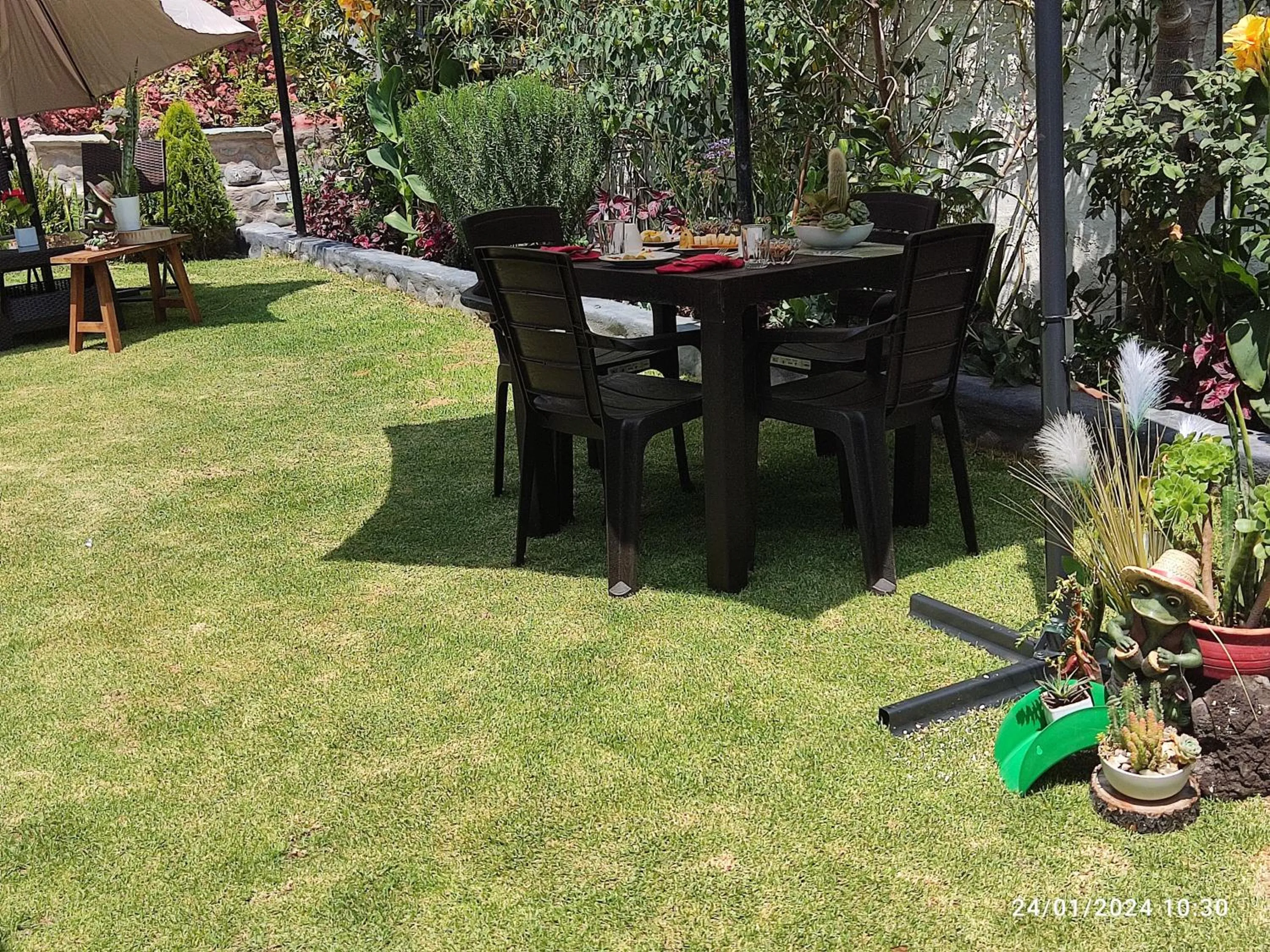 Restaurant/places to eat in Casa Baraquel