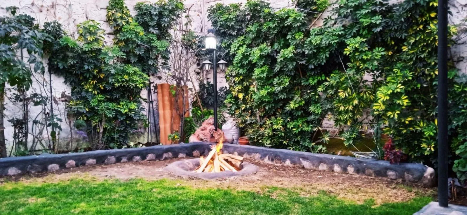 Garden in Casa Baraquel