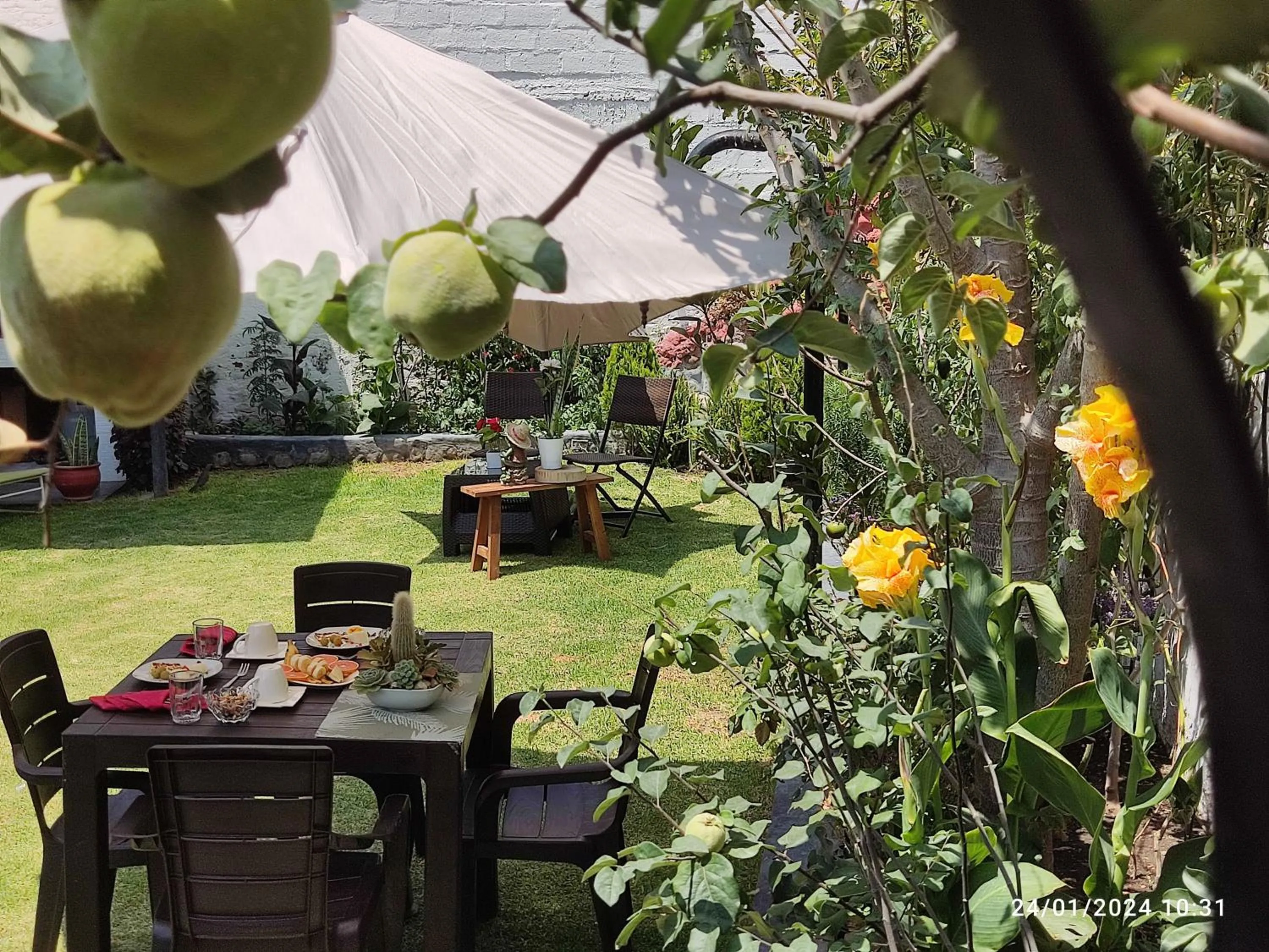 Restaurant/places to eat in Casa Baraquel