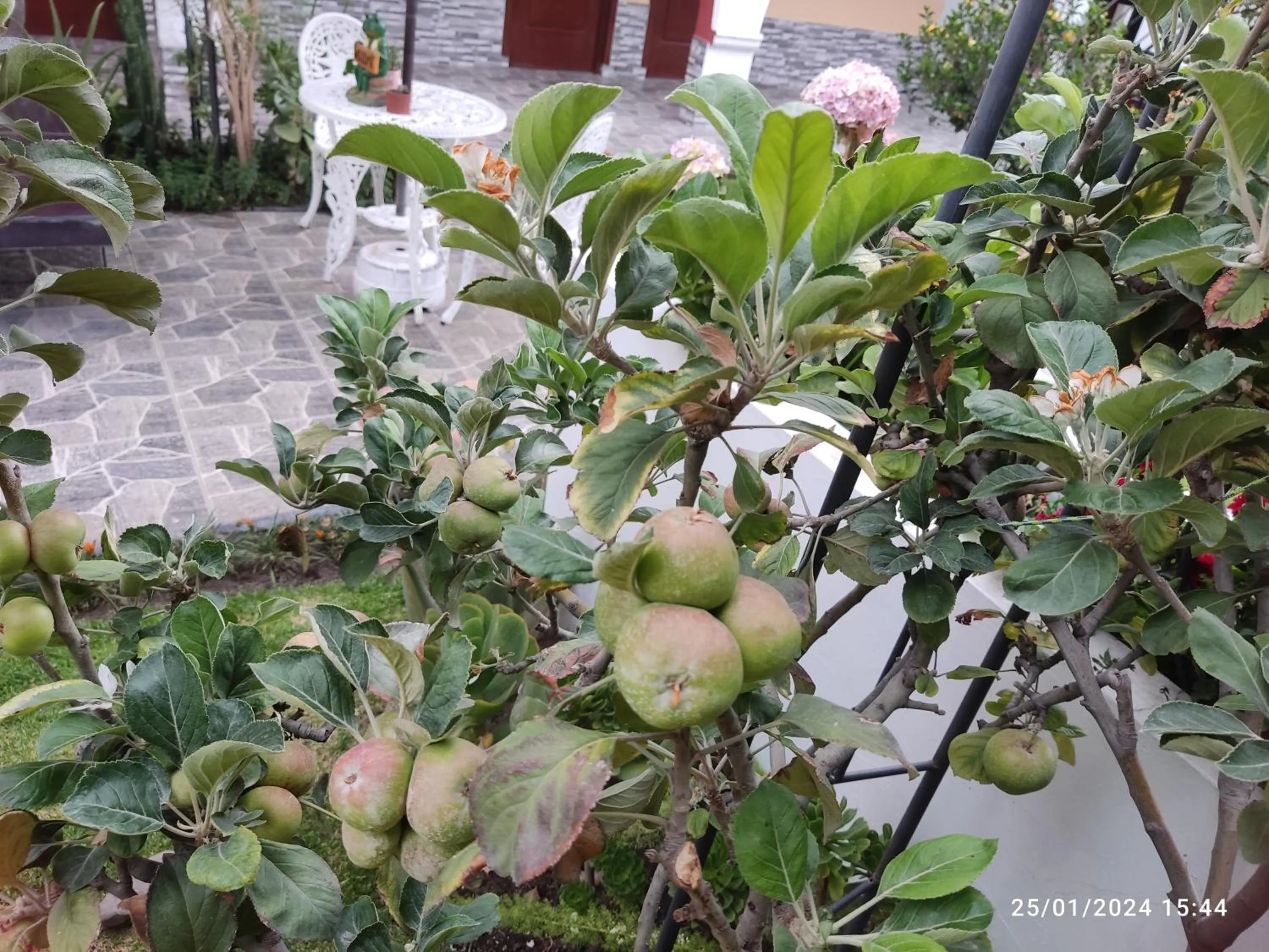 Property building in Casa Baraquel