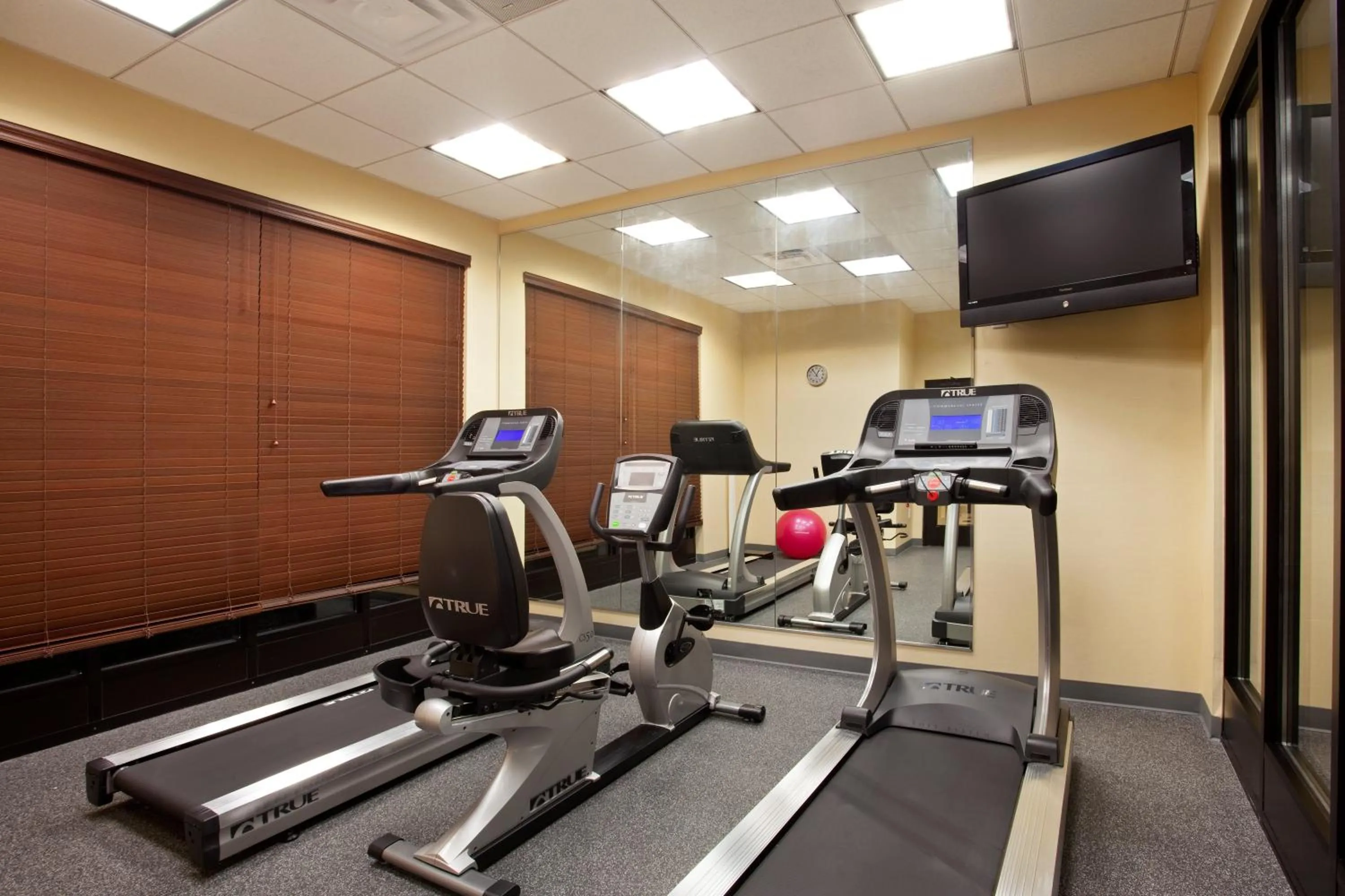 Fitness centre/facilities in Holiday Inn Saint Louis-Fairview Heights by IHG