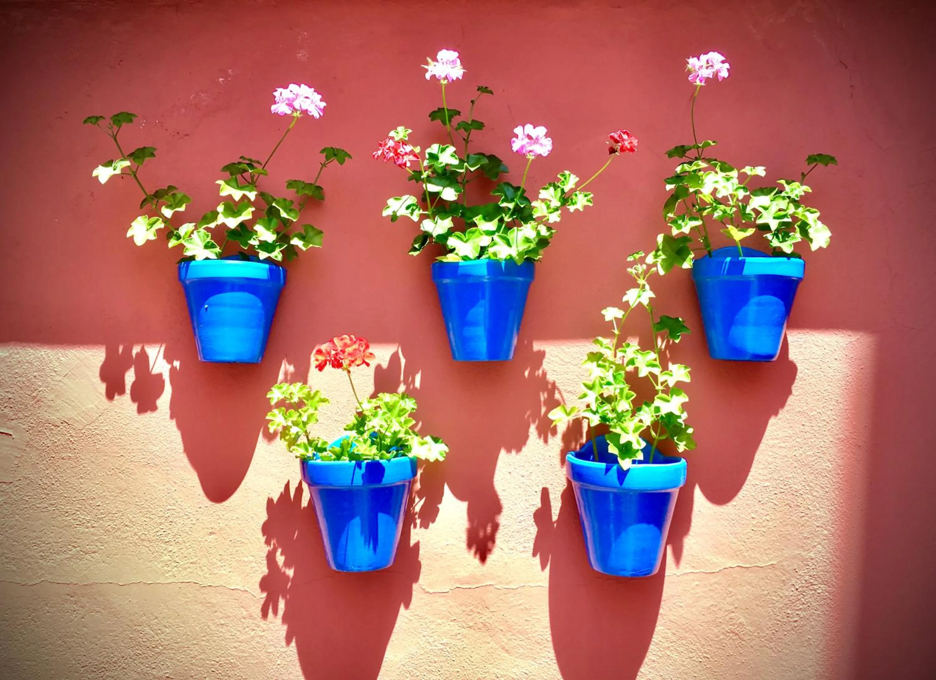 Property building in Hotel Conde de Cárdenas