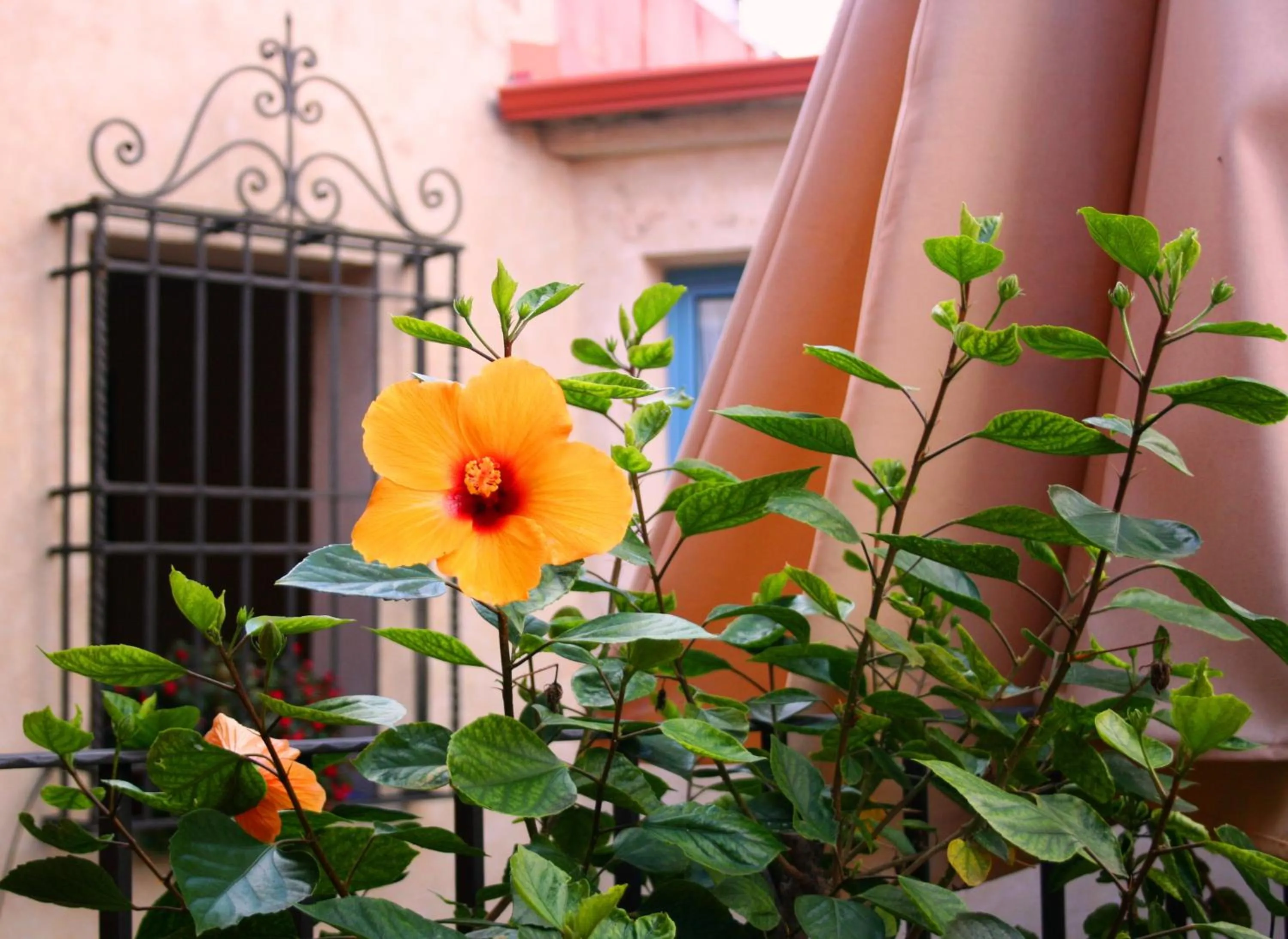 Balcony/Terrace in Hotel Conde de Cárdenas