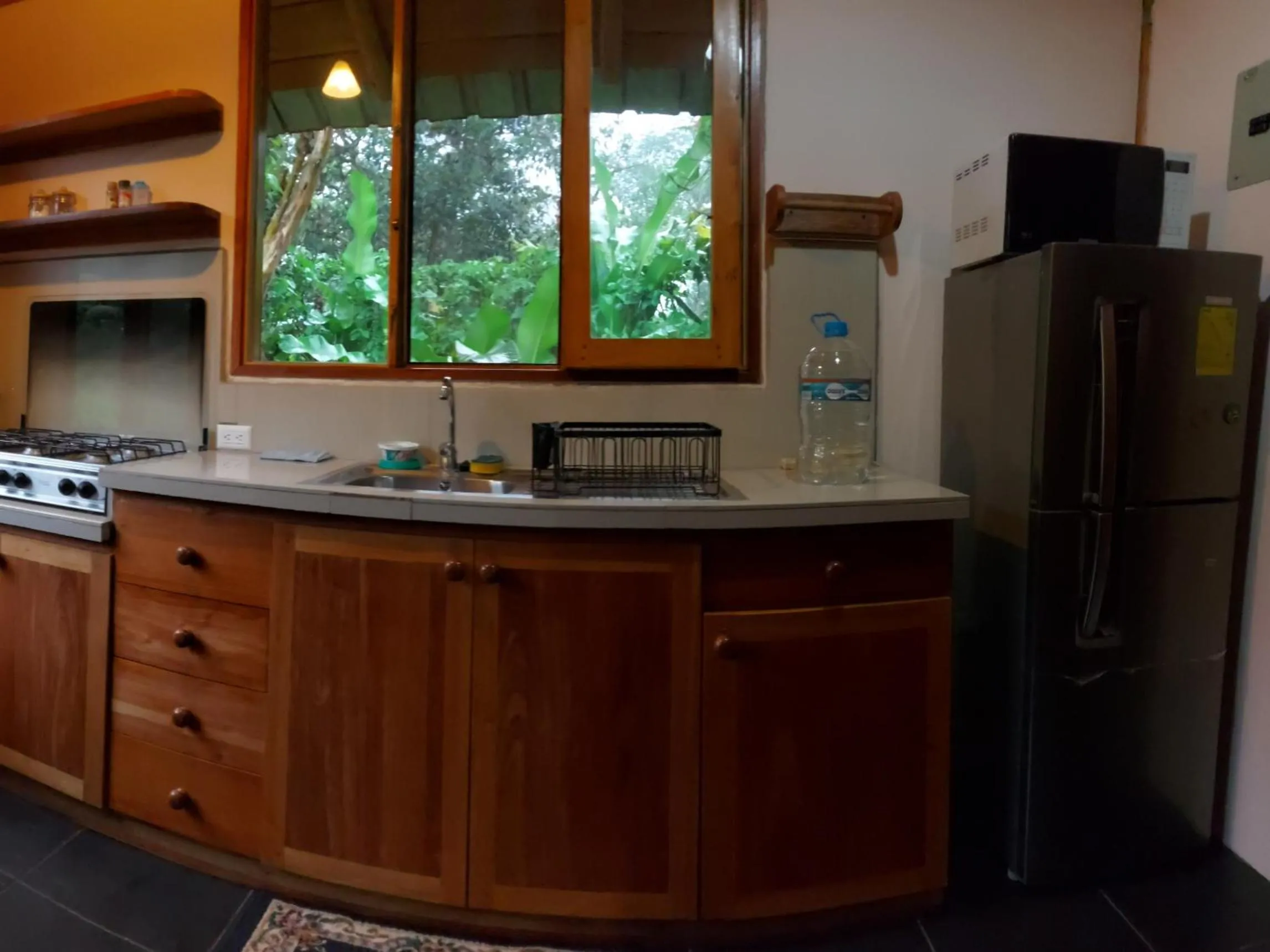 Bird Lover's House