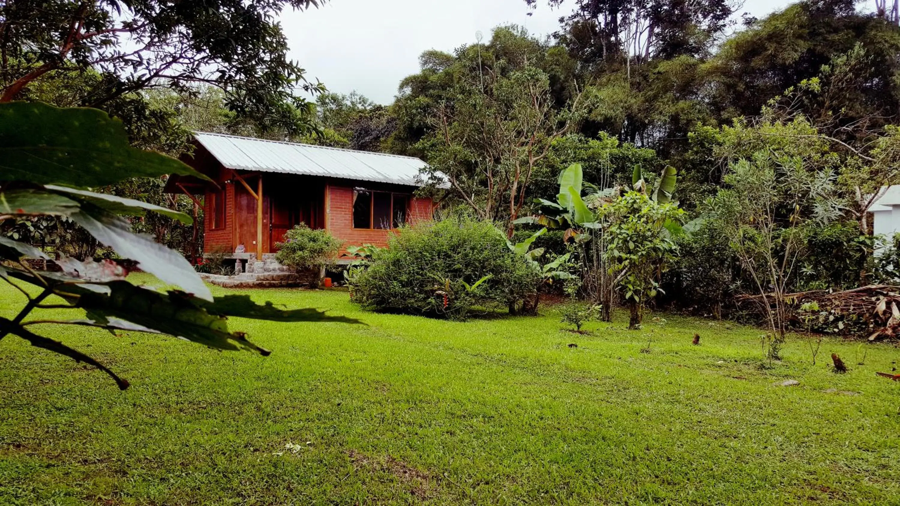 Bird Lover's House Bird Lover's House