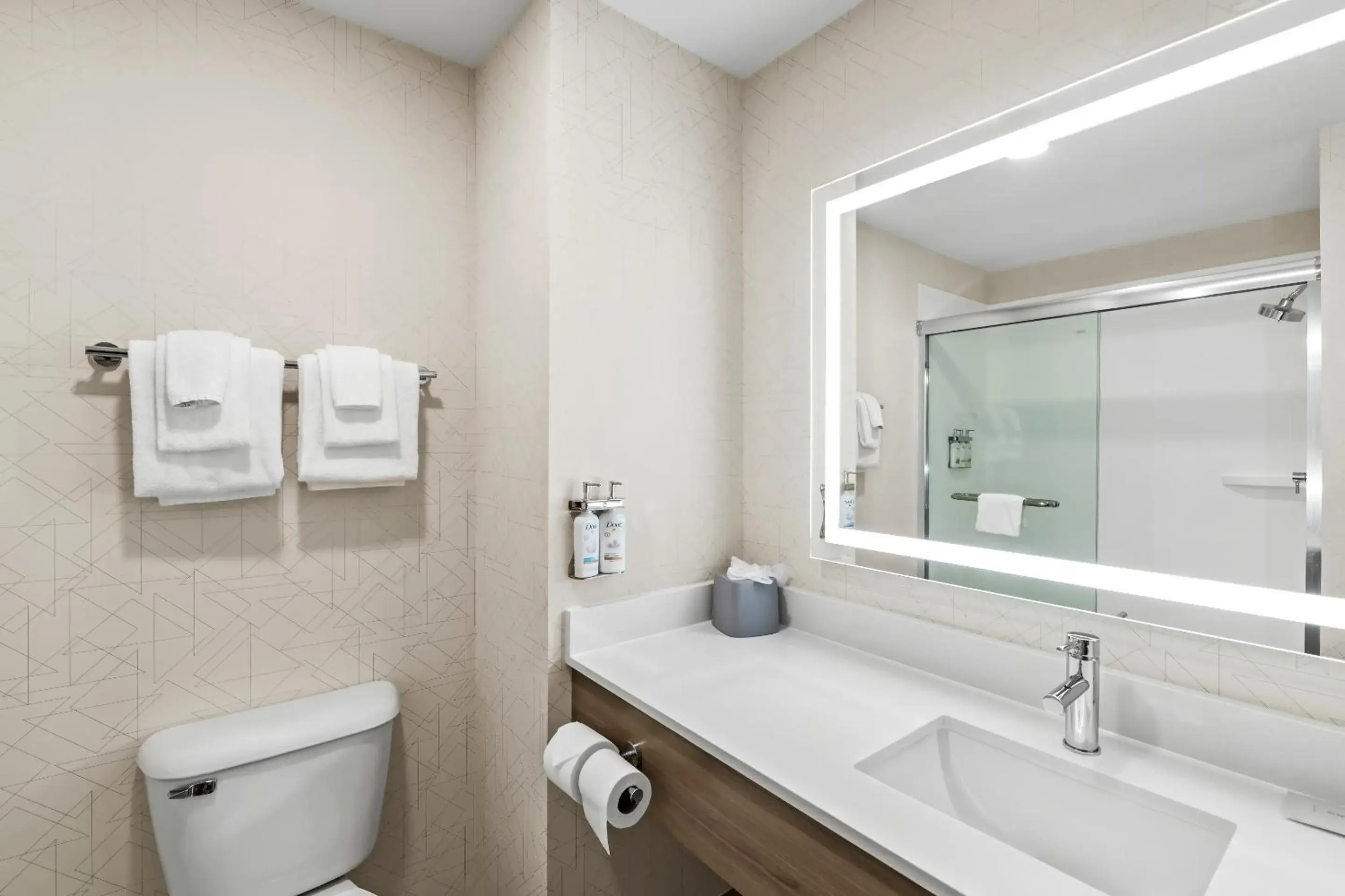 Holiday Inn Express Hotel & Suites Council Bluffs - Convention Center Area by IHG Holiday Inn Express Hotel & Suites Council Bluffs - Convention Center Area by IHG