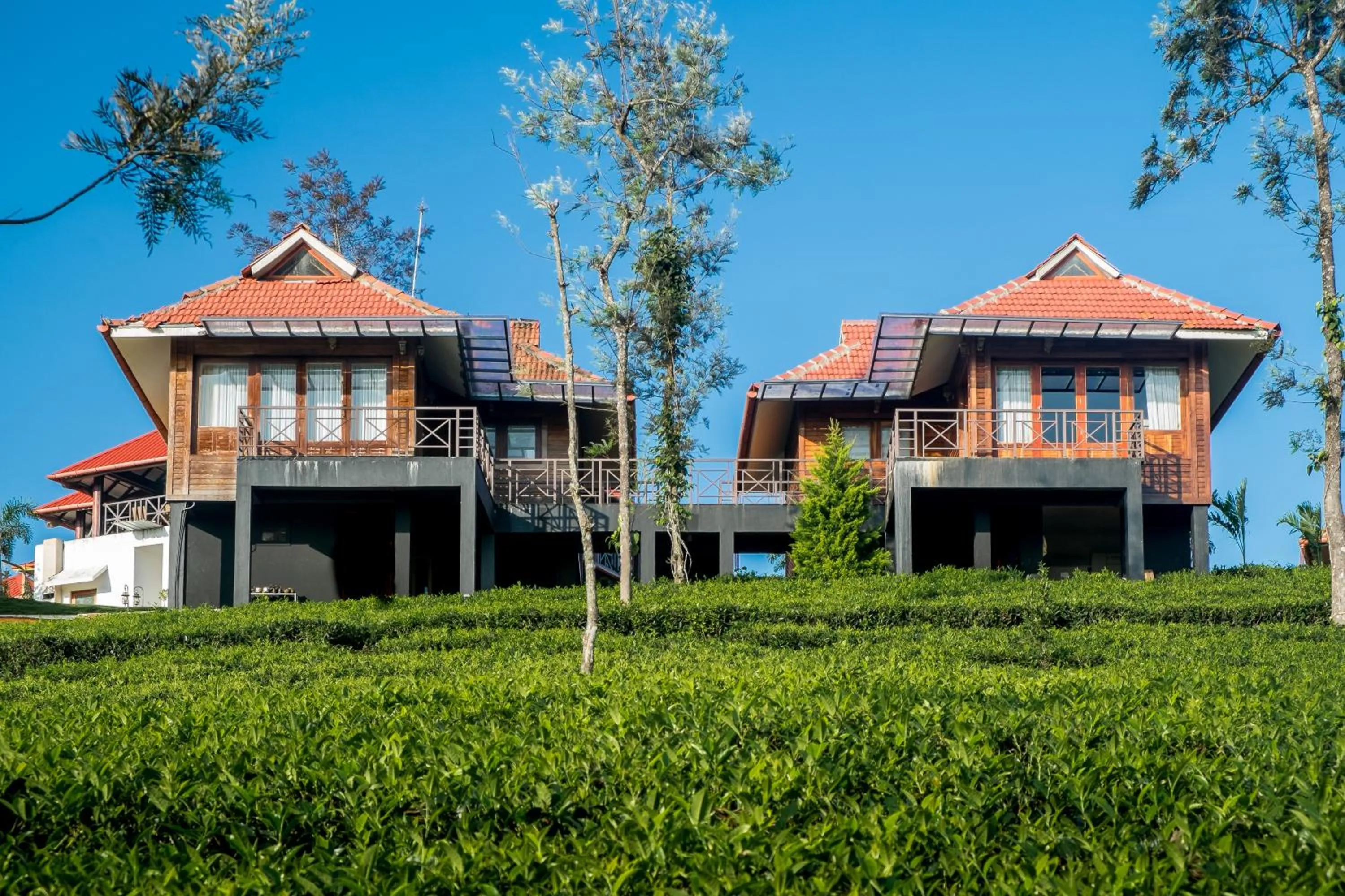 Property building in Wild Planet Jungle Resort