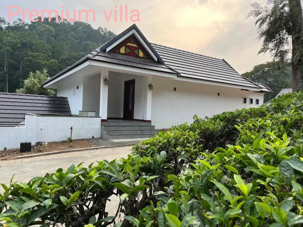 View (from property/room) in Wild Planet Jungle Resort