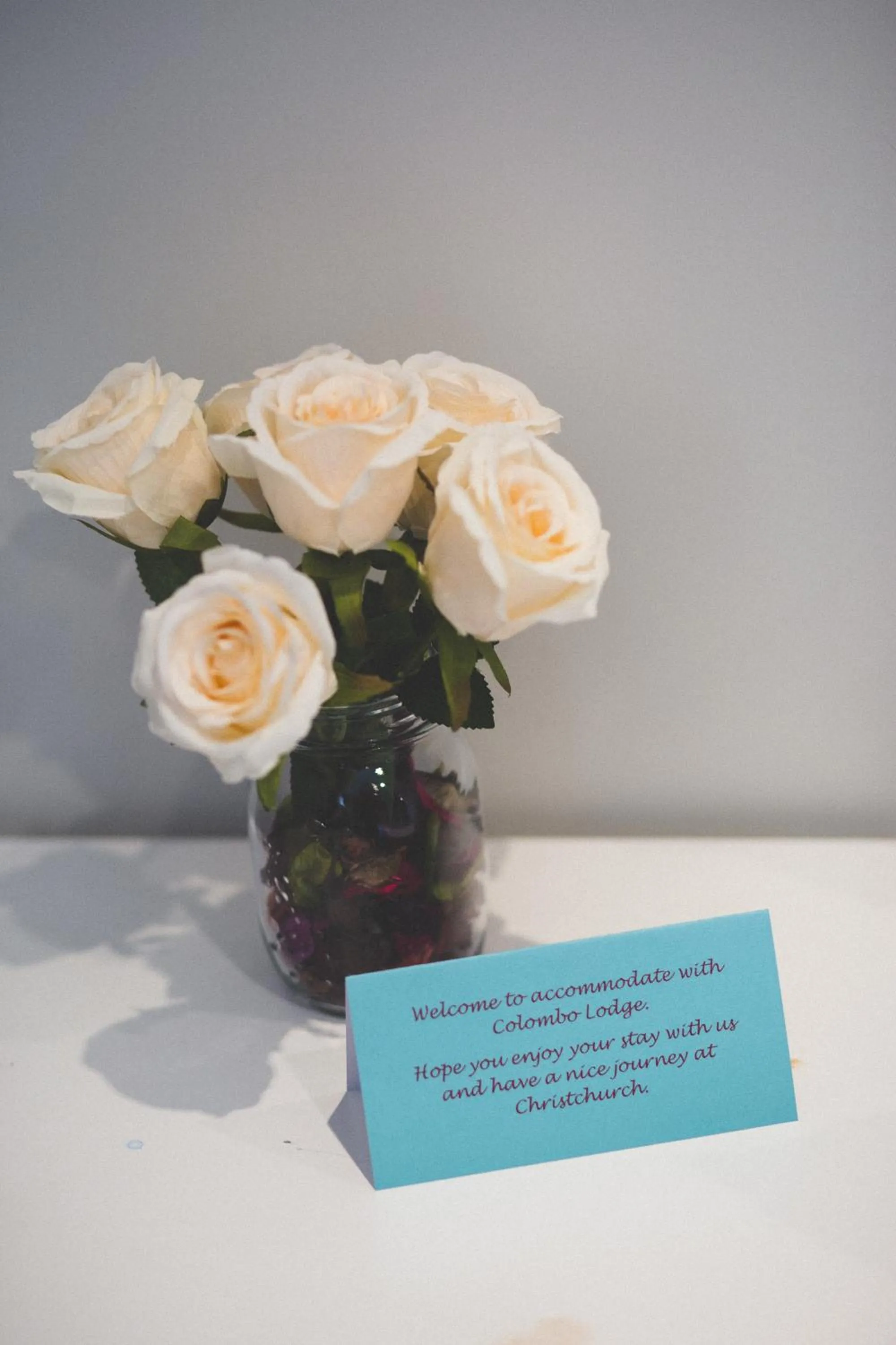 Decorative detail in Colombo Lodge Hotel