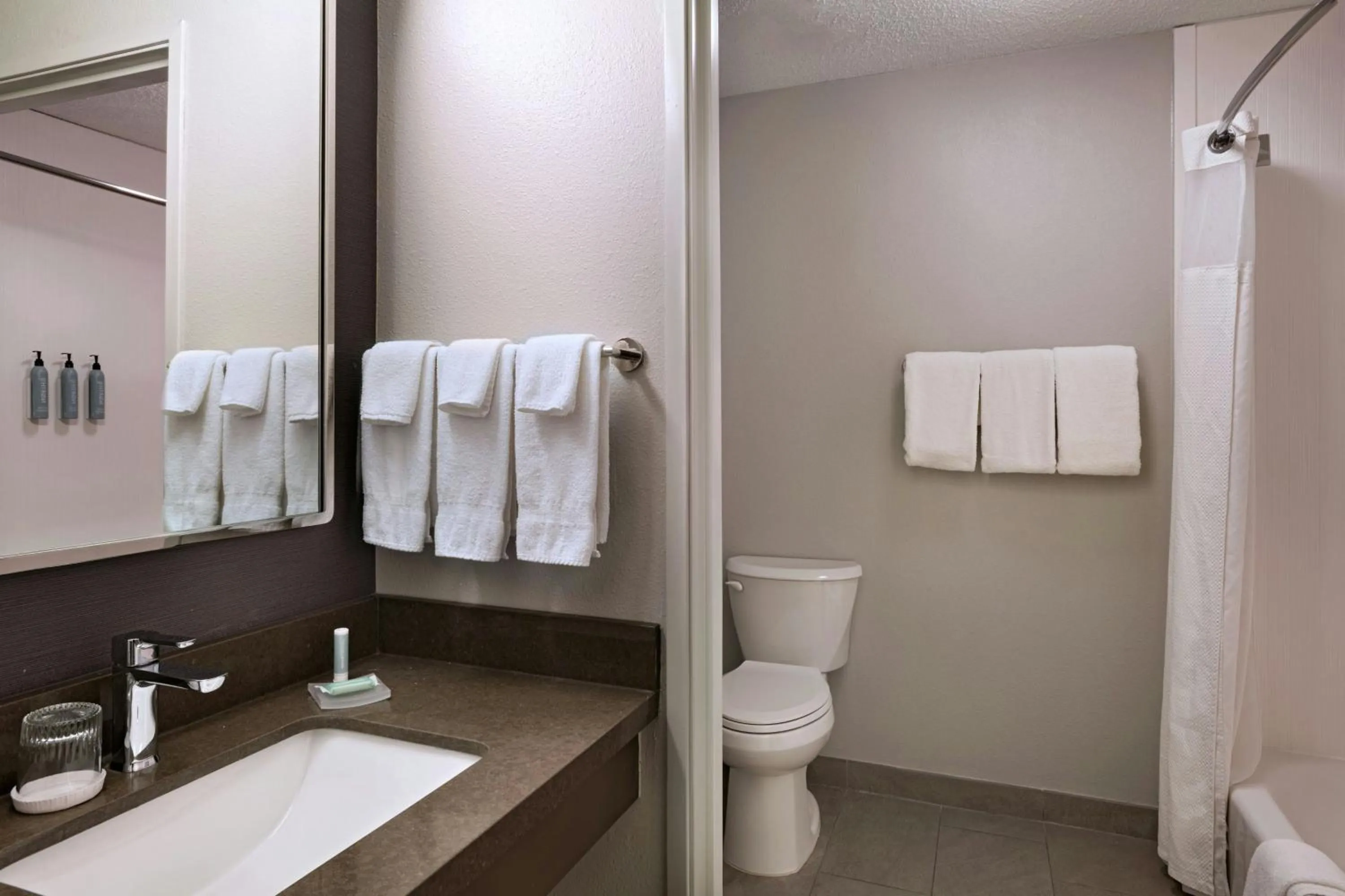 Bathroom in Courtyard Houston The Woodlands