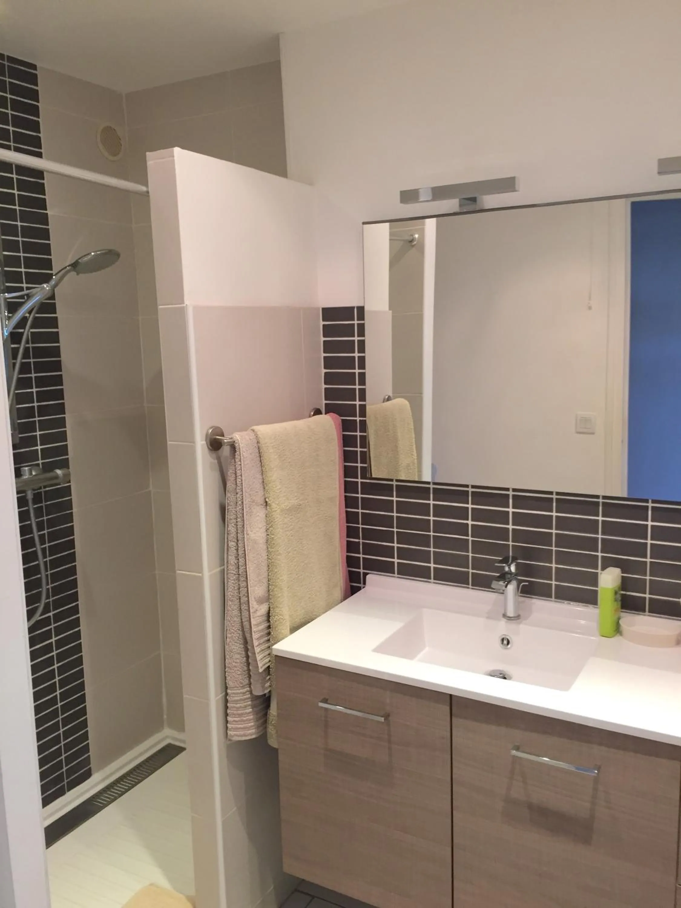 Bathroom in Appartement Front de Mer