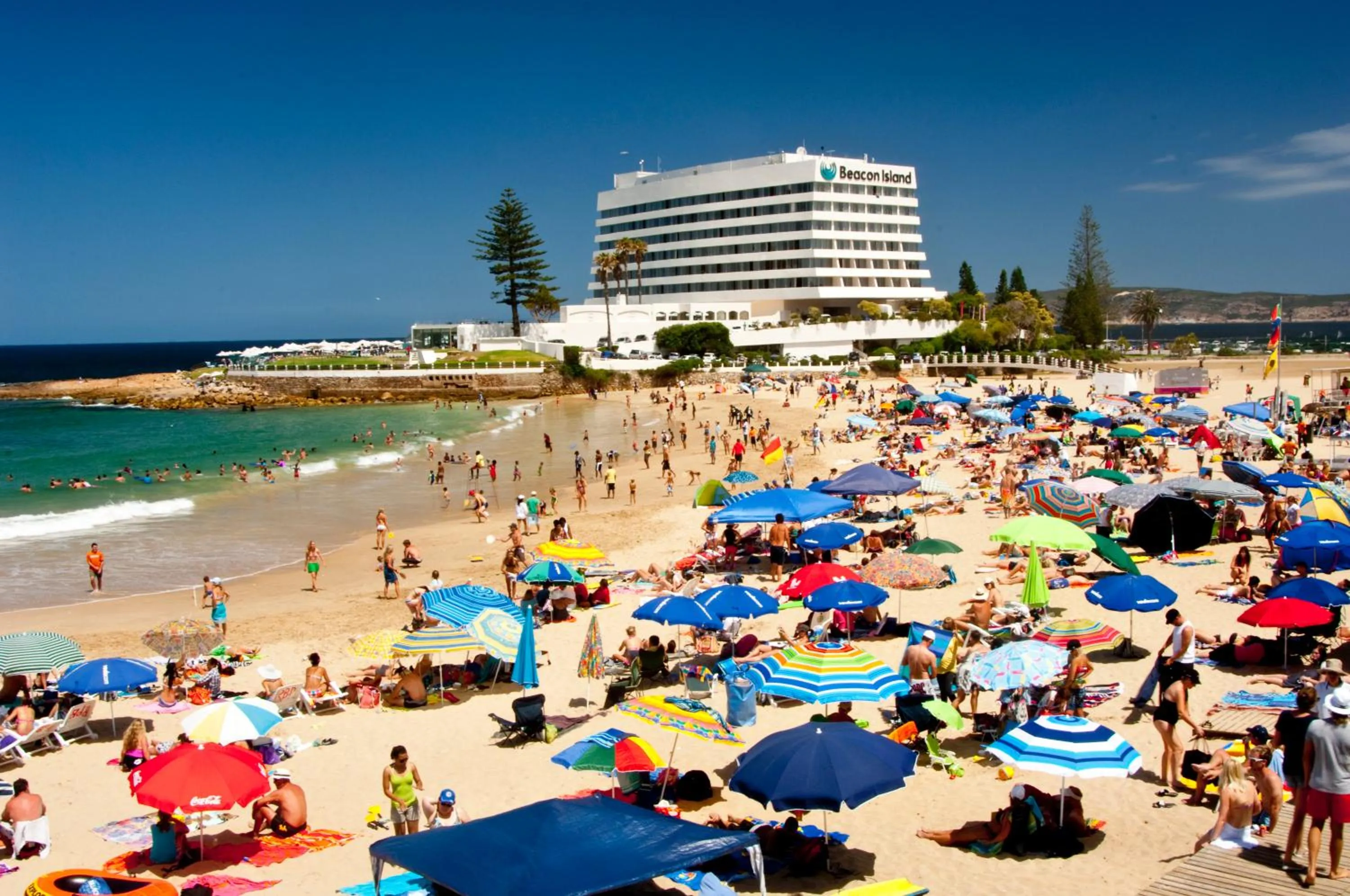 Off site in Dolphins' Playground Beachfront B&B