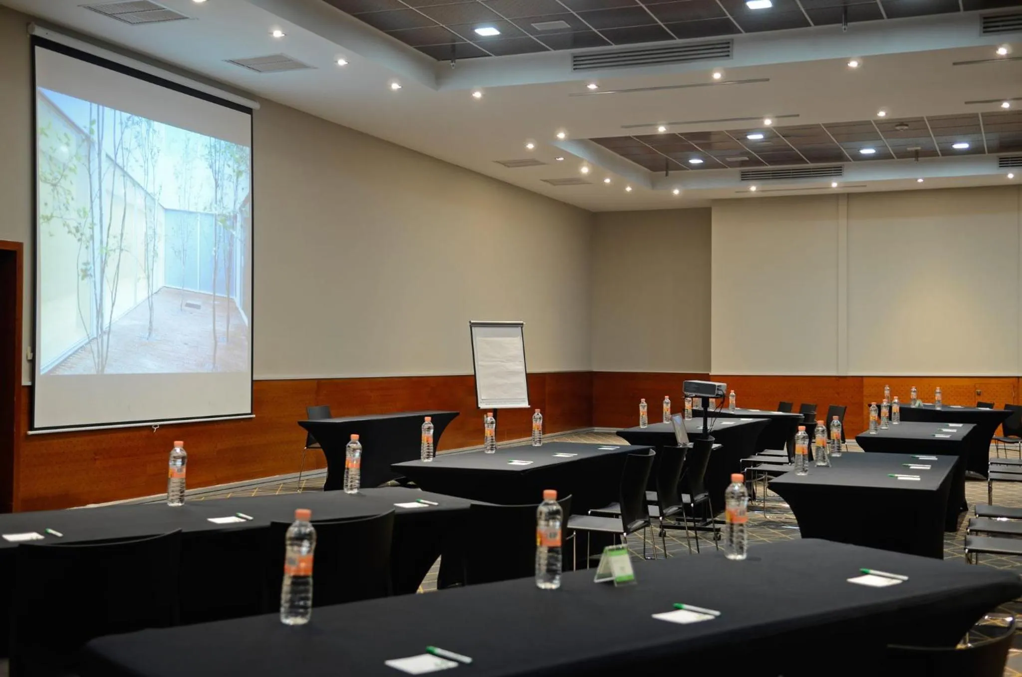 Meeting/conference room in Holiday Inn San Luis Potosi-Quijote by IHG
