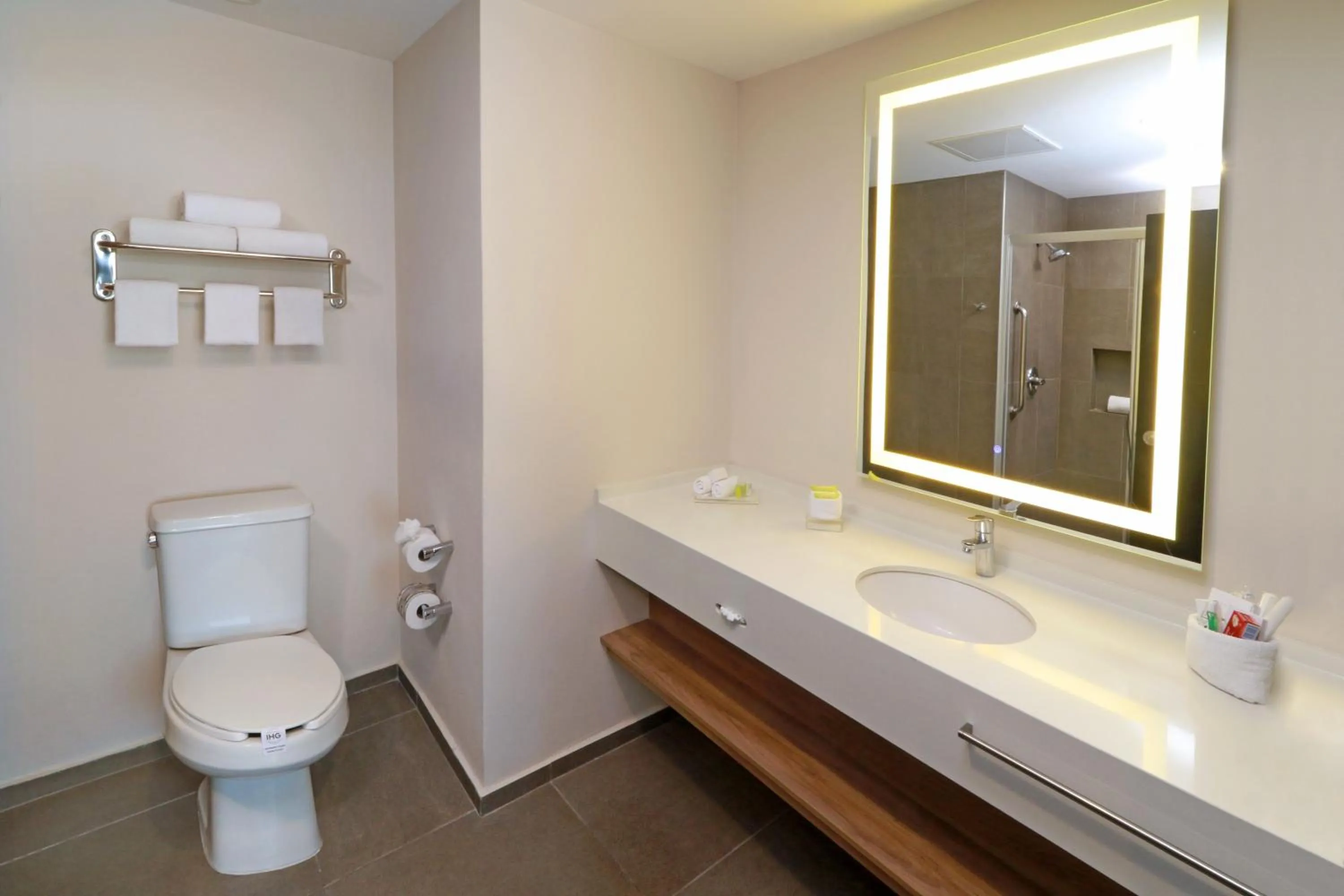 Photo of the whole room in Holiday Inn San Luis Potosi-Quijote by IHG