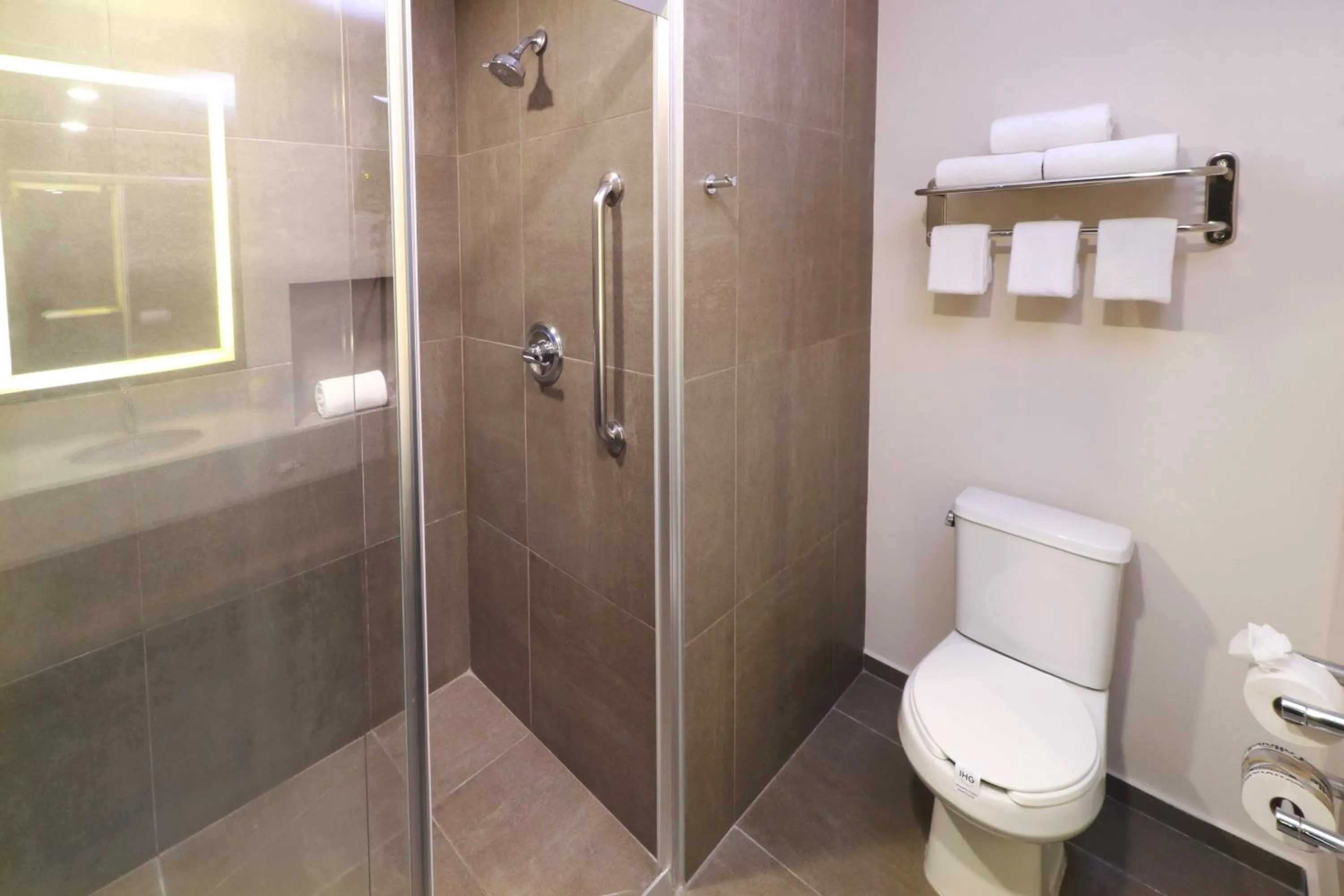 Bathroom in Holiday Inn San Luis Potosi-Quijote by IHG