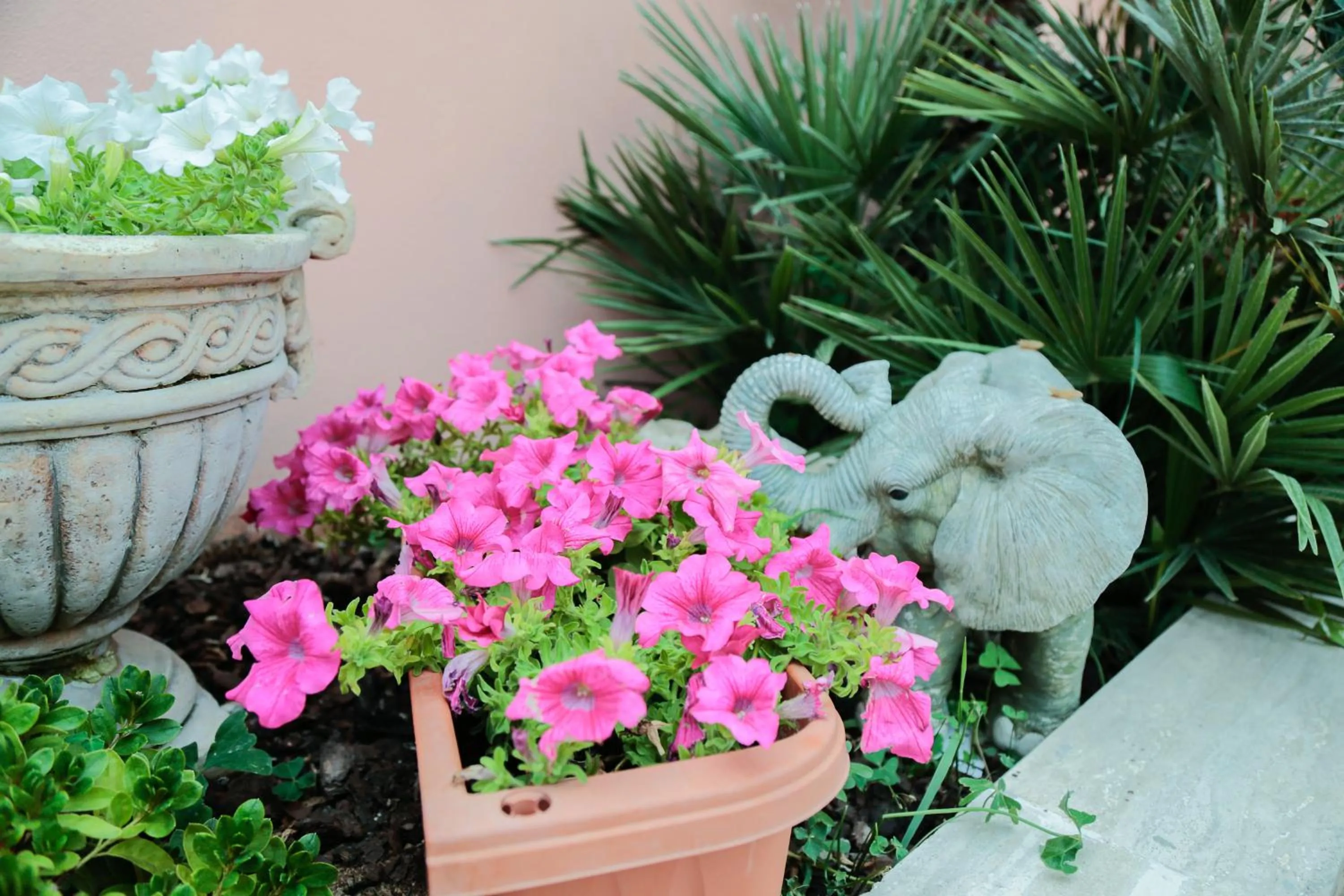 Patio in Villa Erasi