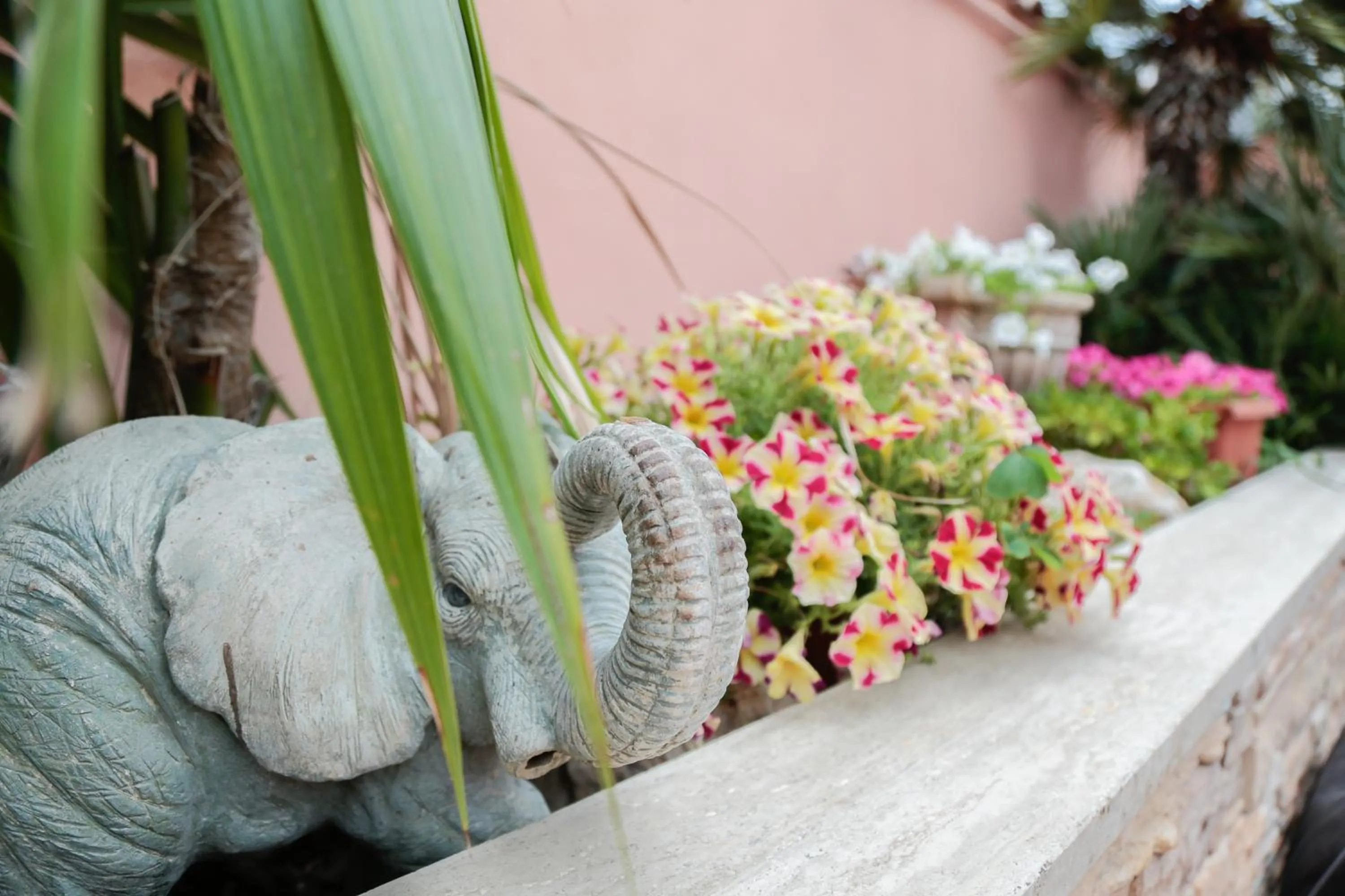 Patio in Villa Erasi