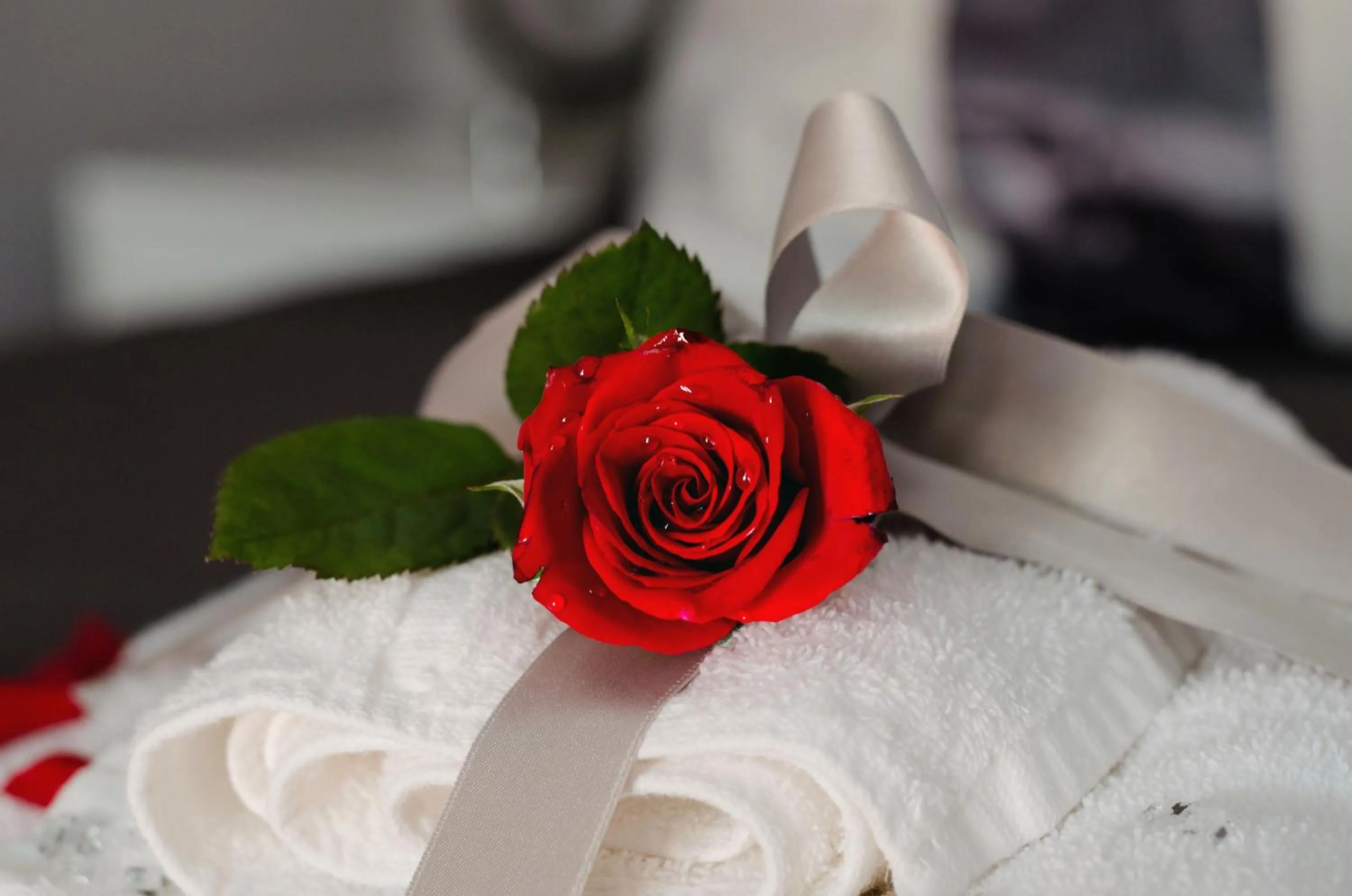 Decorative detail in Villa Erasi