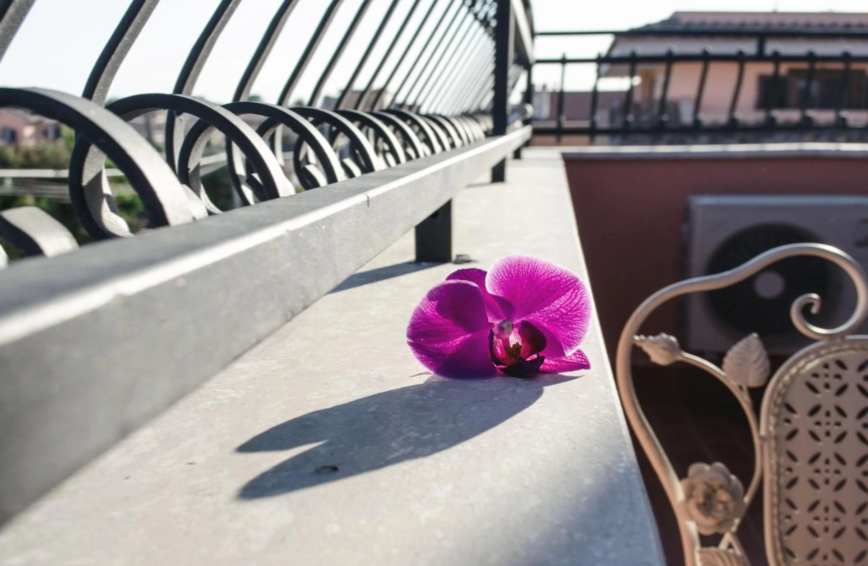 Balcony/Terrace in Villa Erasi
