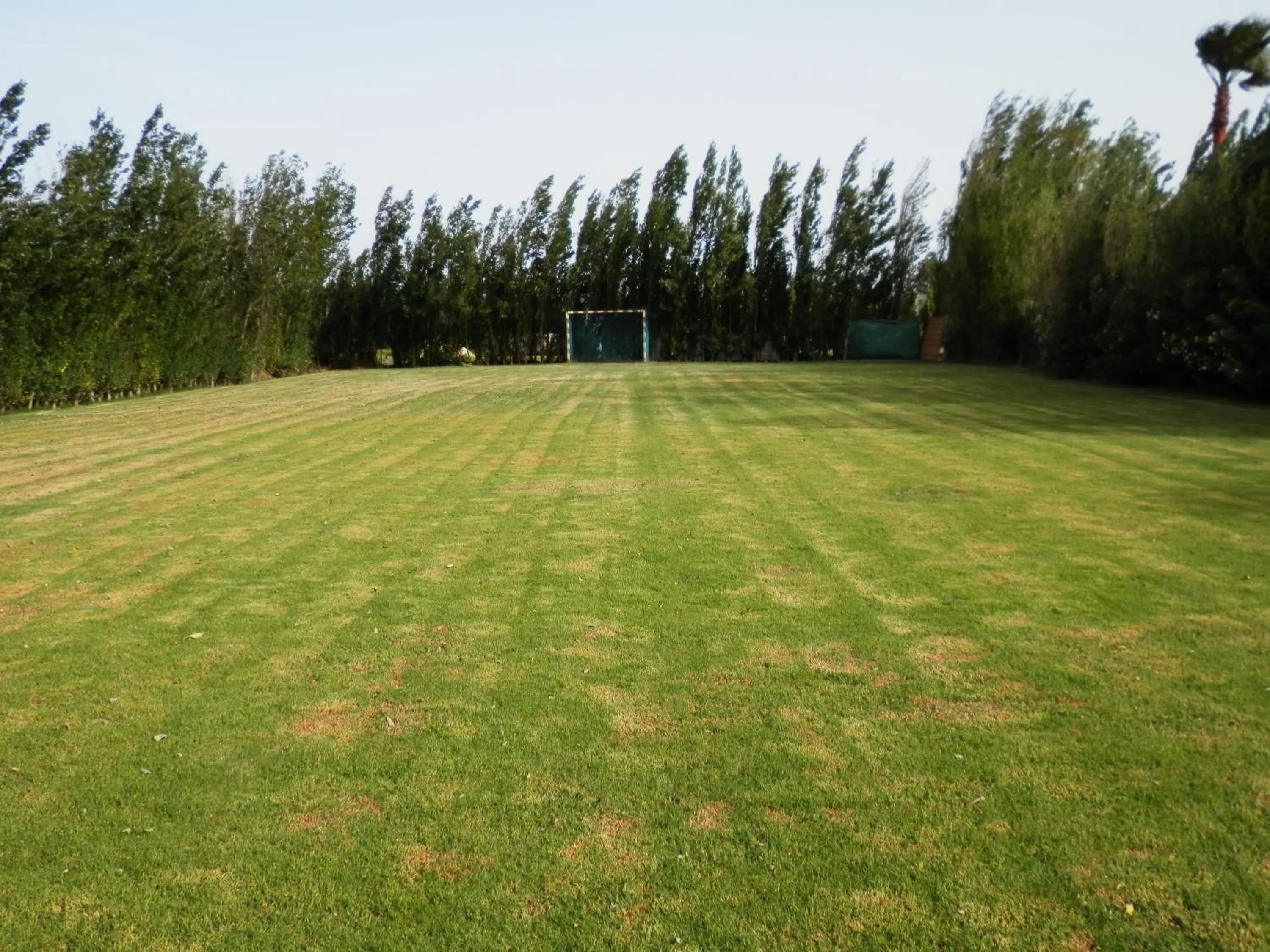 On site in Alojamiento Mesón el Pozuelo