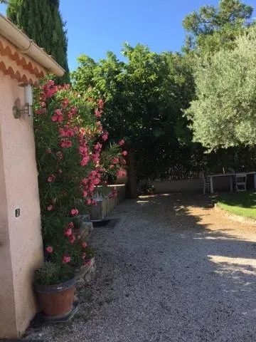 Garden in Villa hortensia