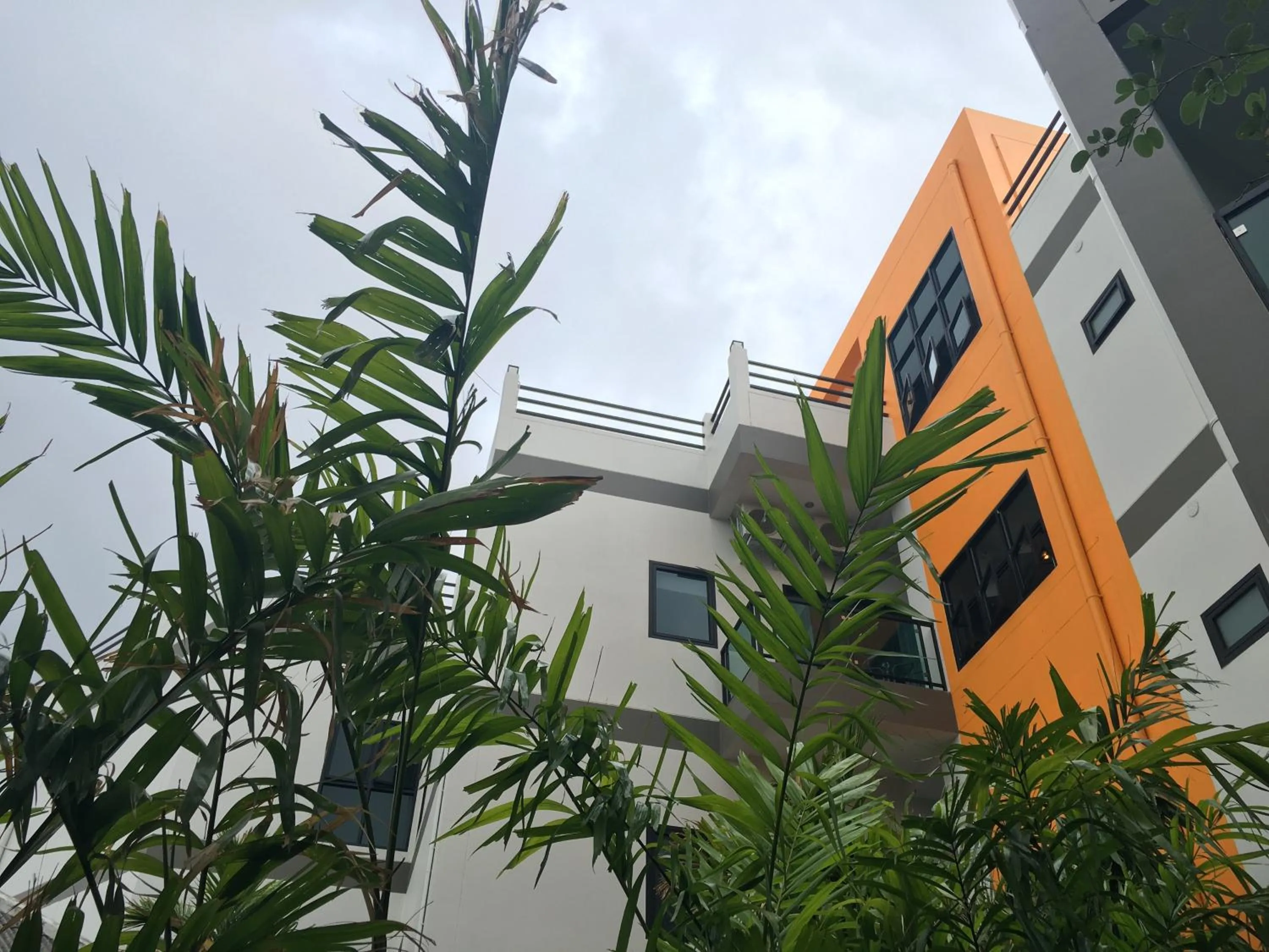 Garden in Tandeaw View