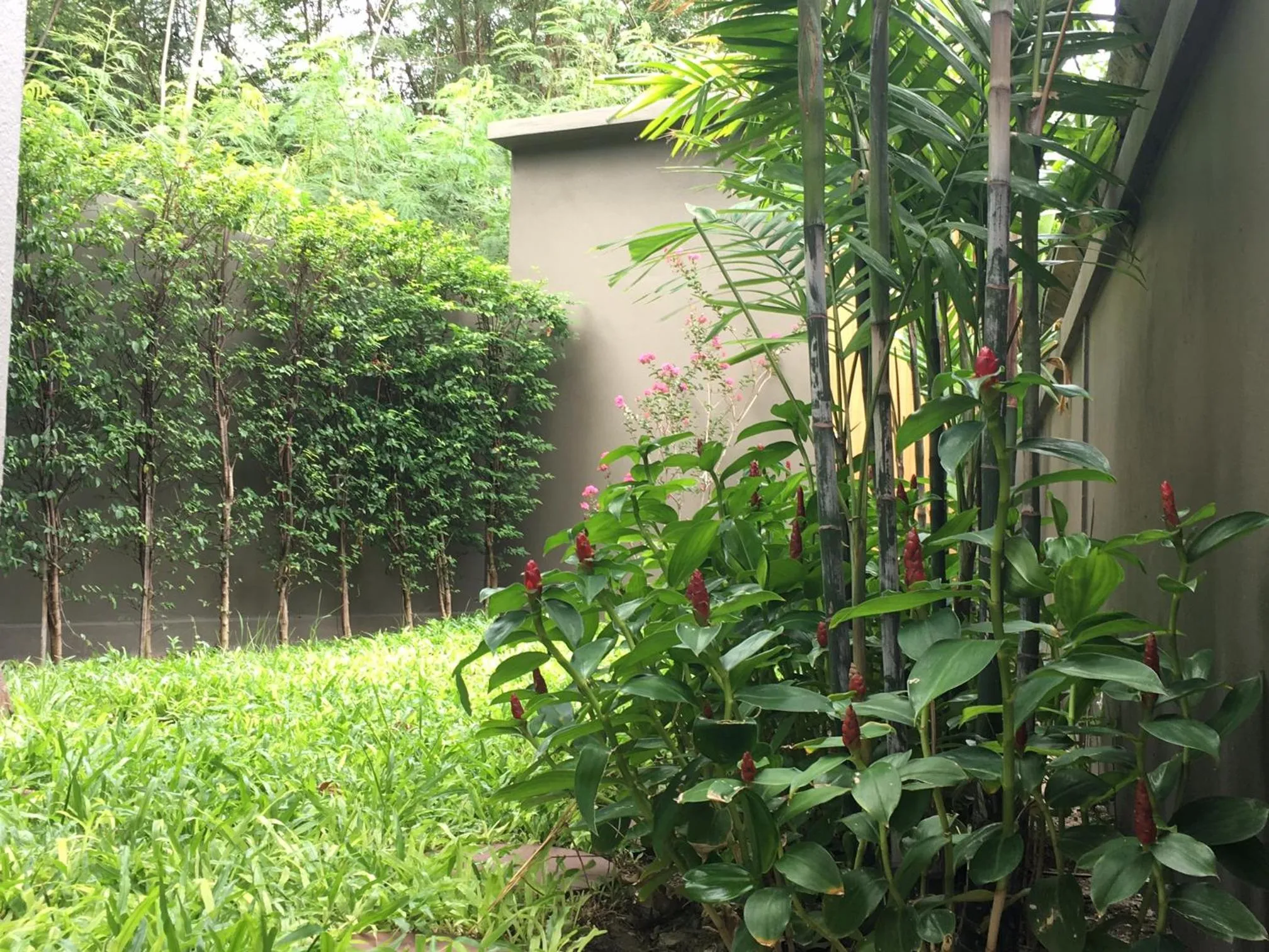 Garden in Tandeaw View