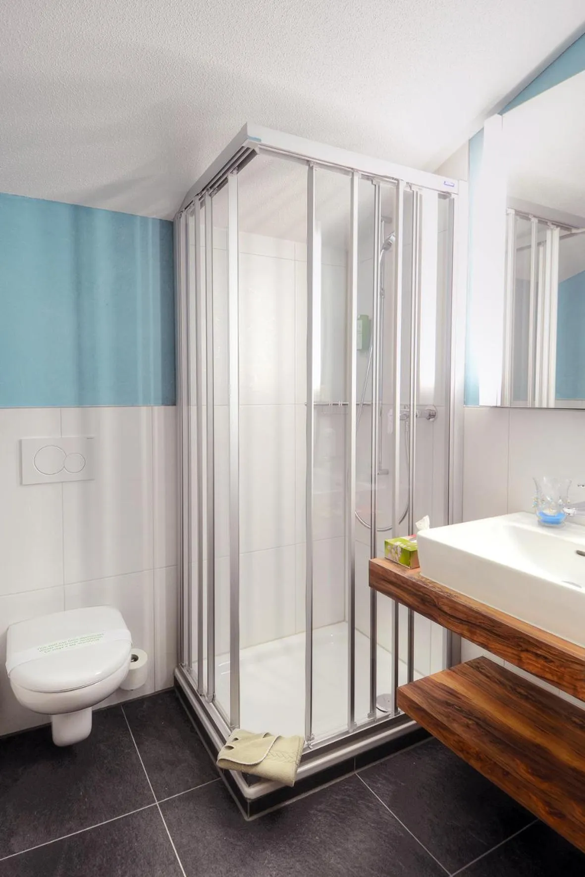 Bathroom in Hotel Restaurant Alpina