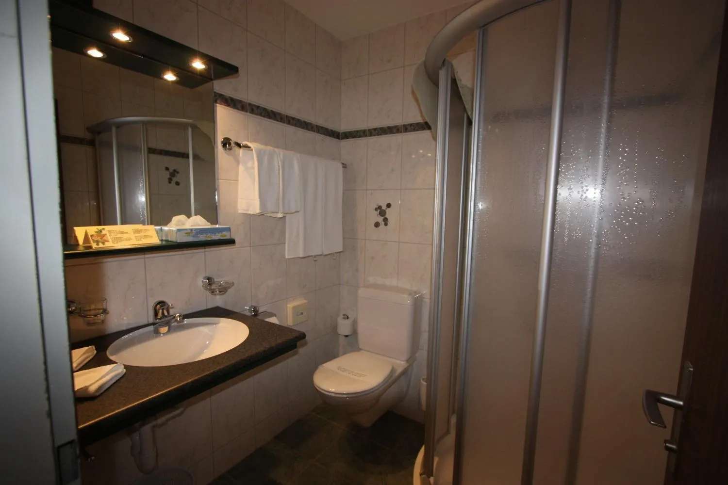 Bathroom in Hotel Restaurant Alpina