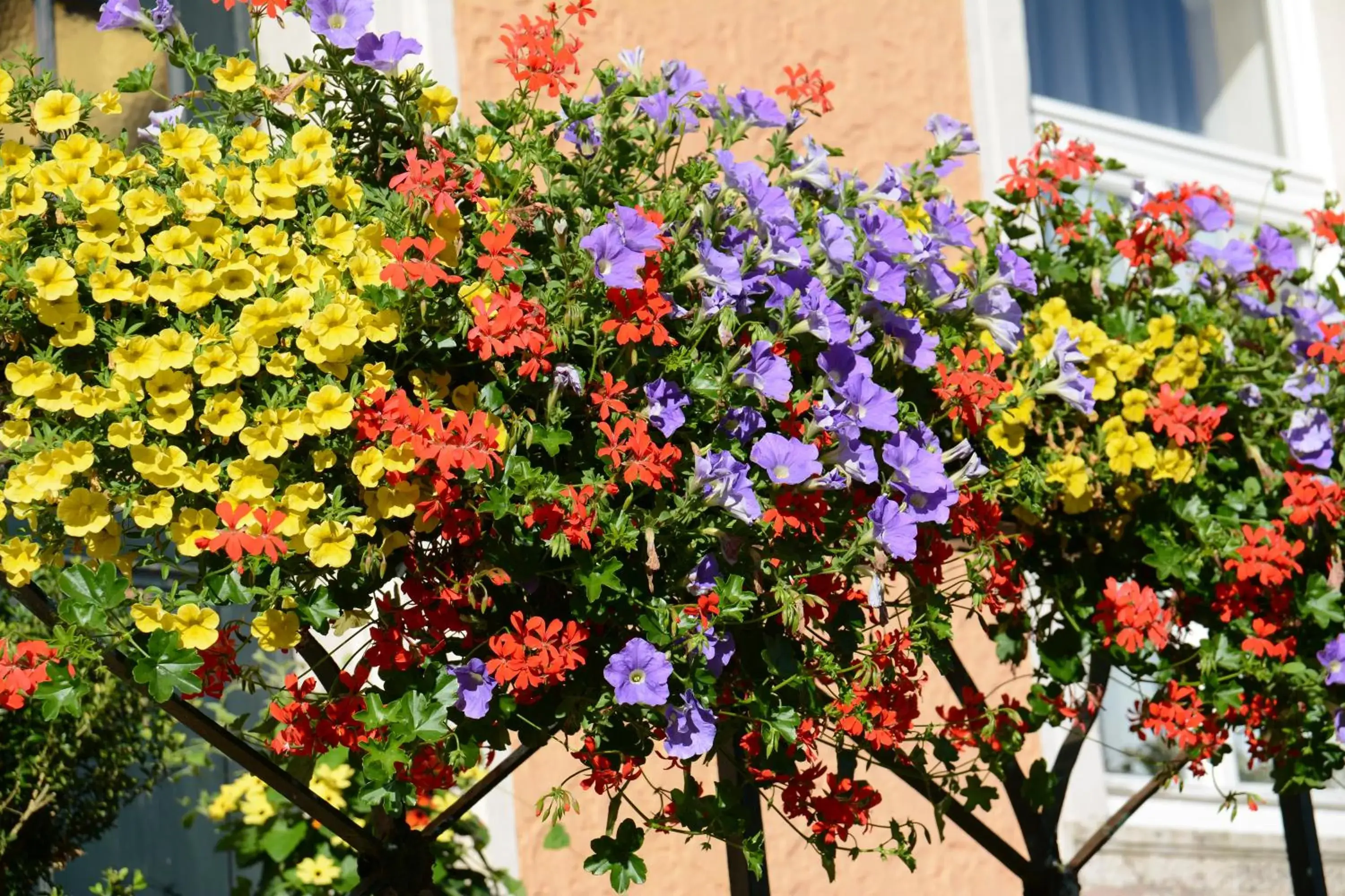 Gasthaus Finken Gasthaus Finken