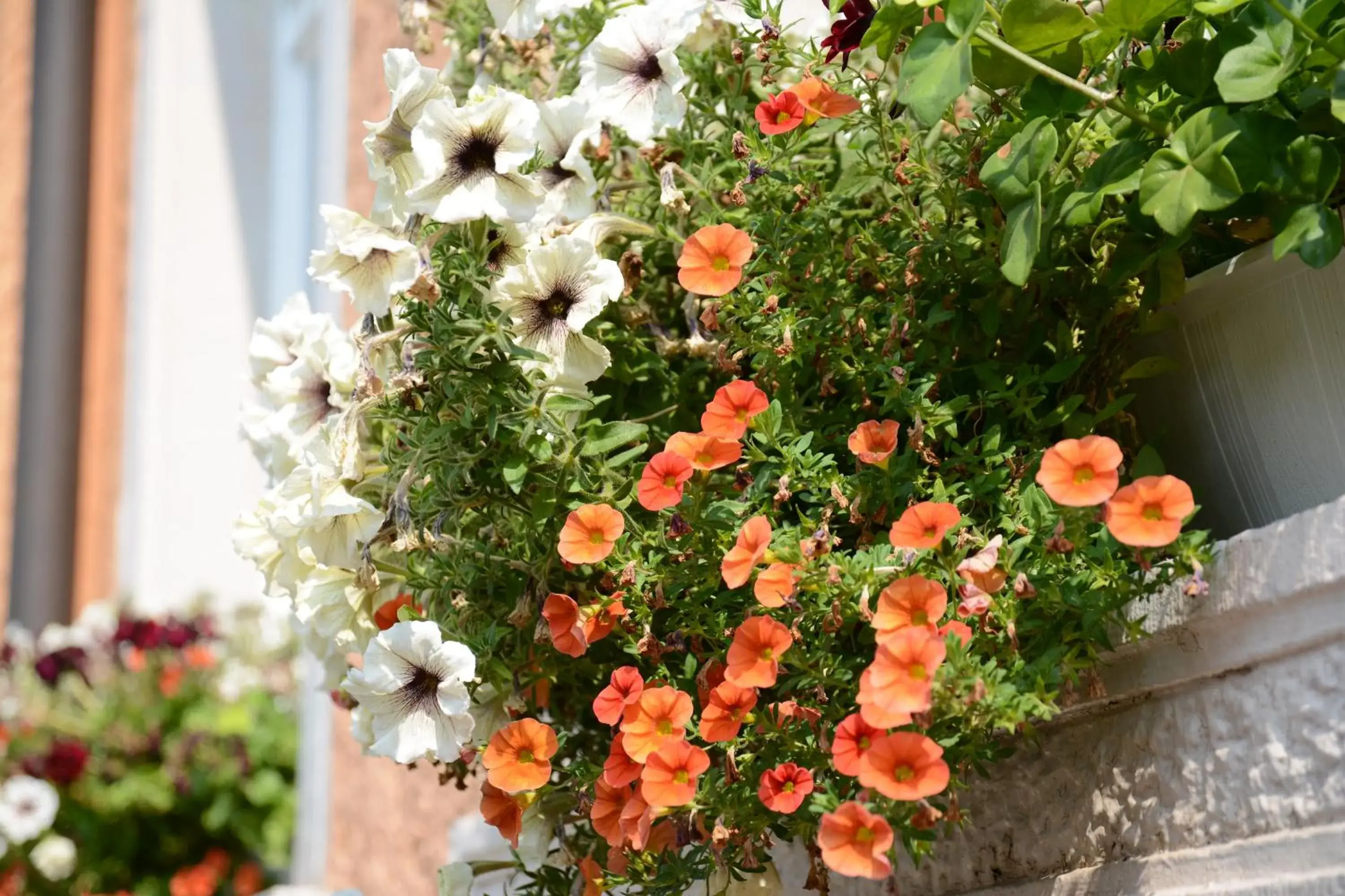 Property building in Gasthaus Finken Property building in Gasthaus Finken