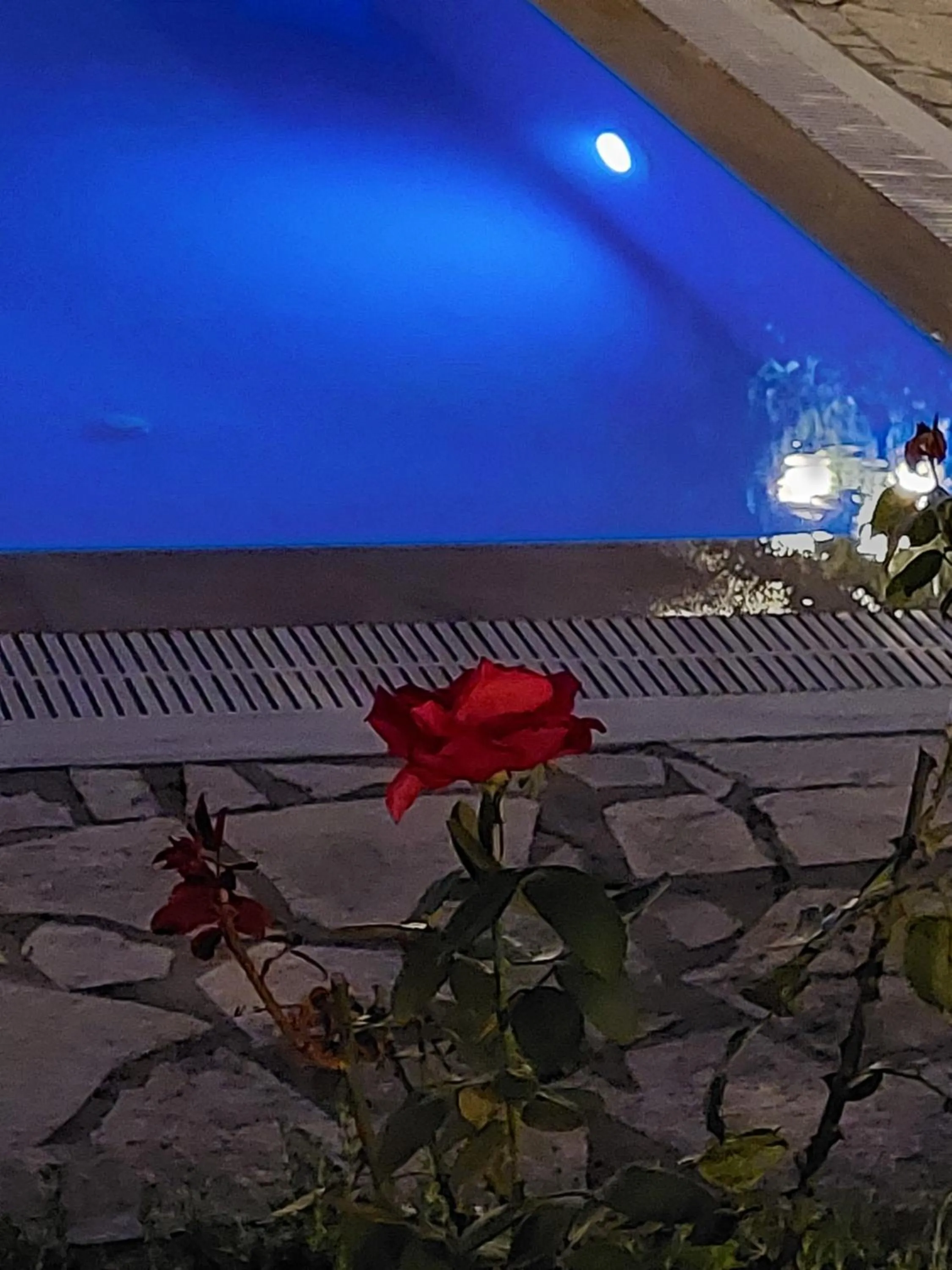 Night in CHA Nanakas Village Inn