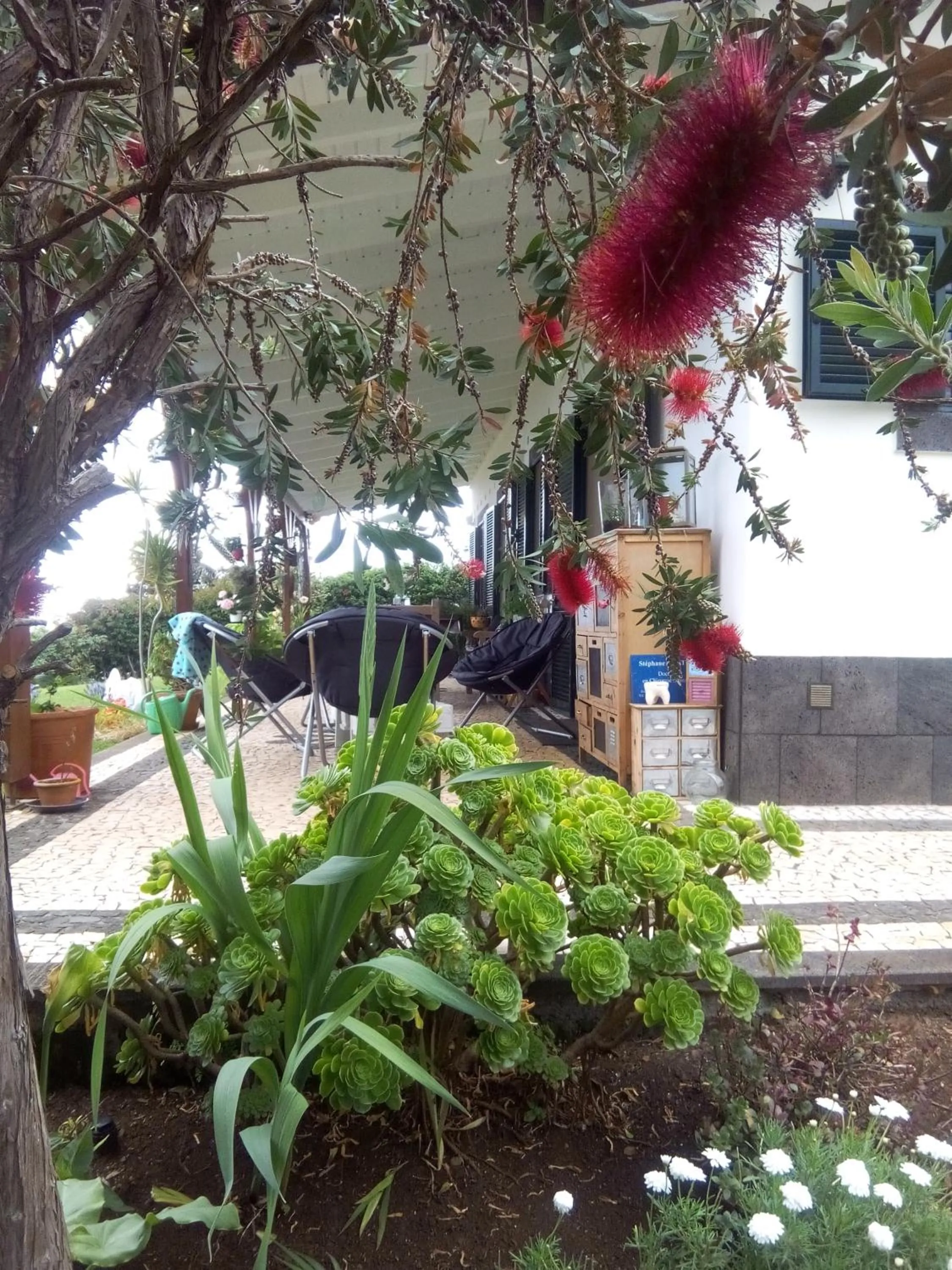 Garden in La Chambre de Ker Briac