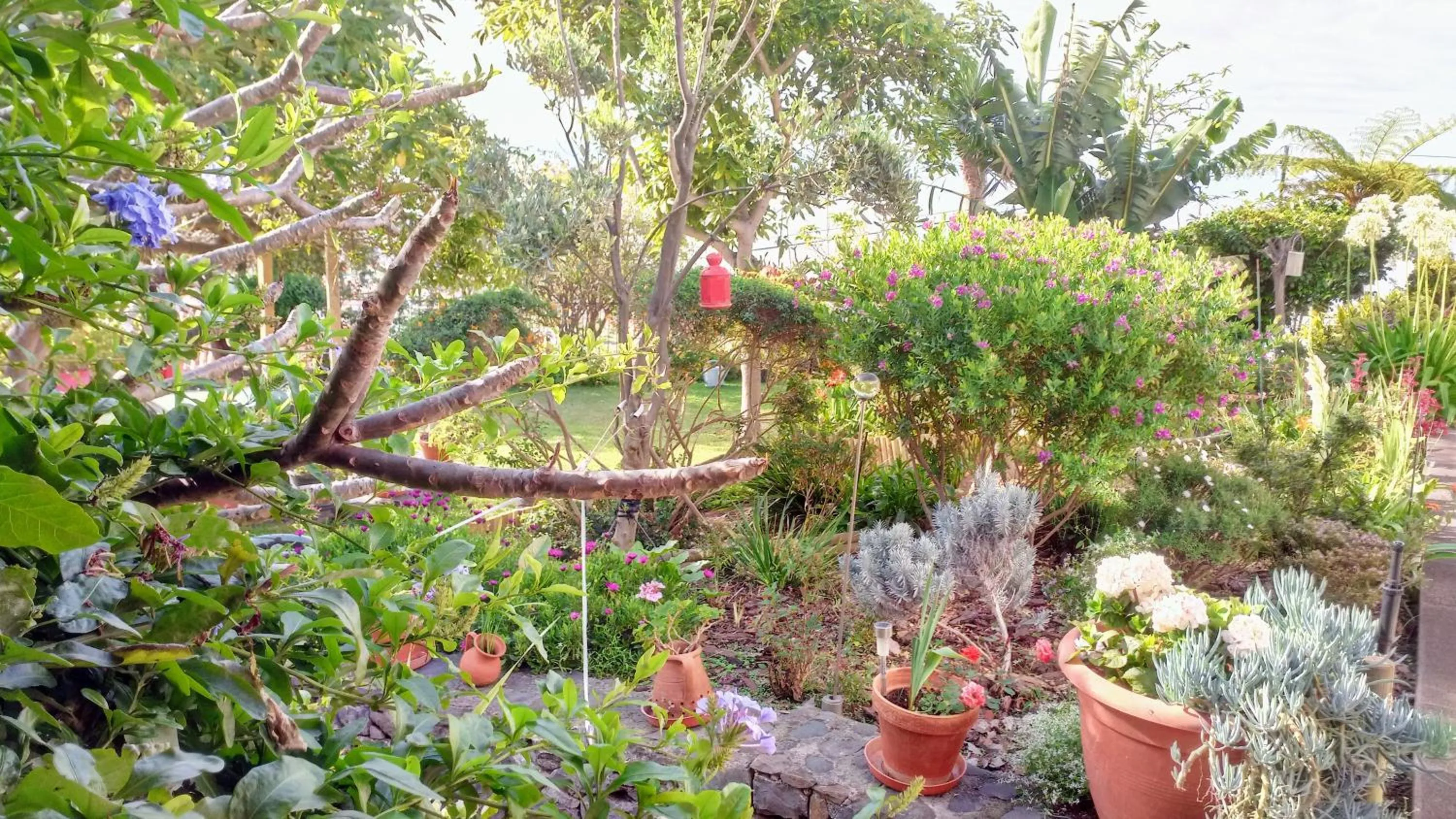 Garden in La Chambre de Ker Briac