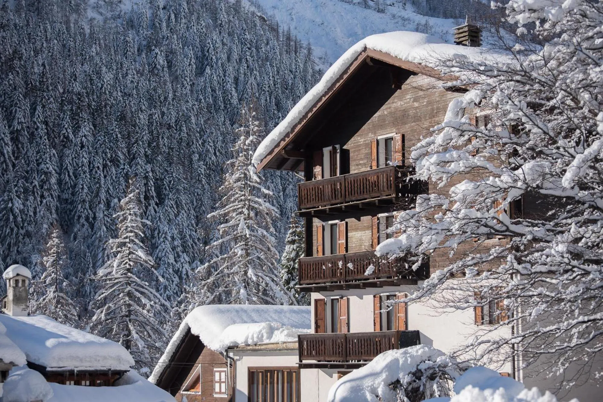 Property building in Hotel Signal