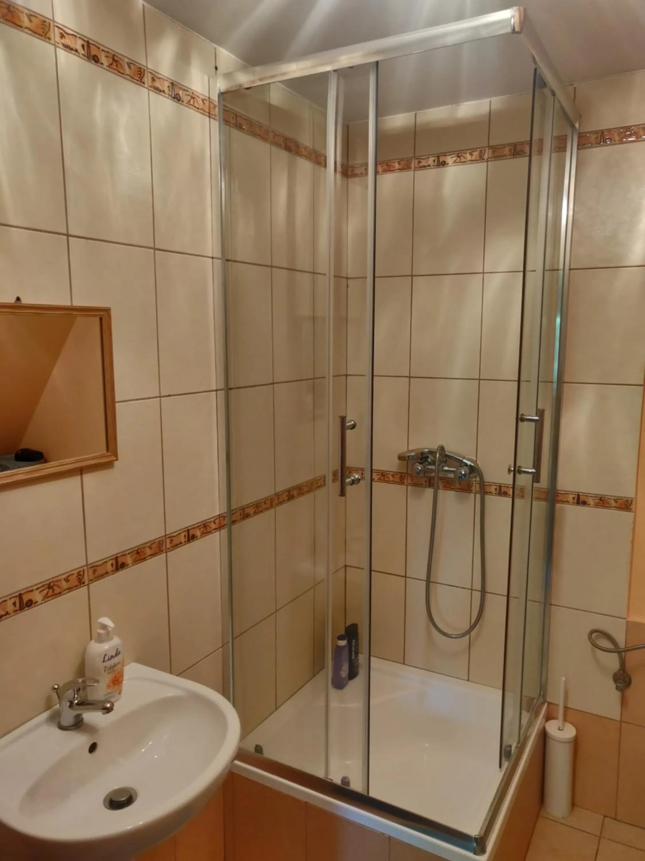 Shower in NOCLEGI-SPŁYWY BUGIEM