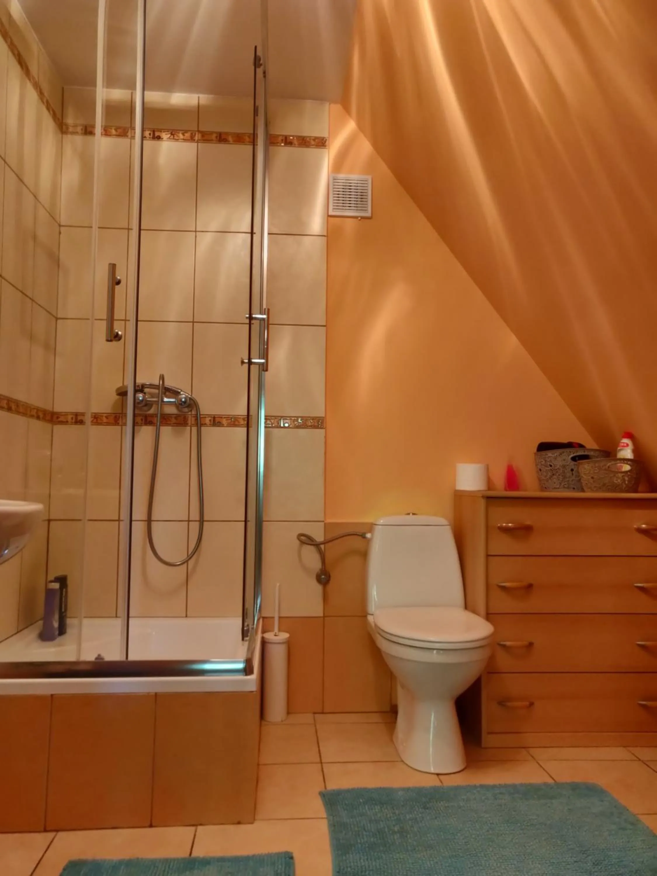 Shower in NOCLEGI-SPŁYWY BUGIEM