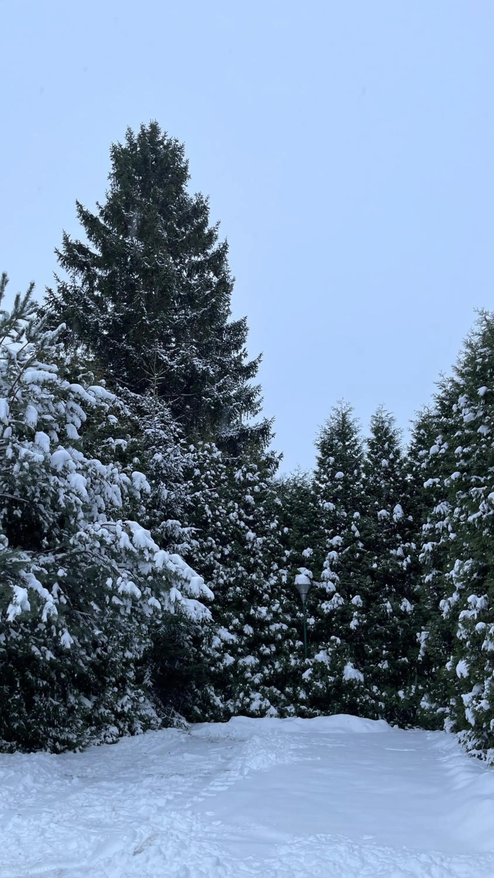 NOCLEGI-SPŁYWY BUGIEM