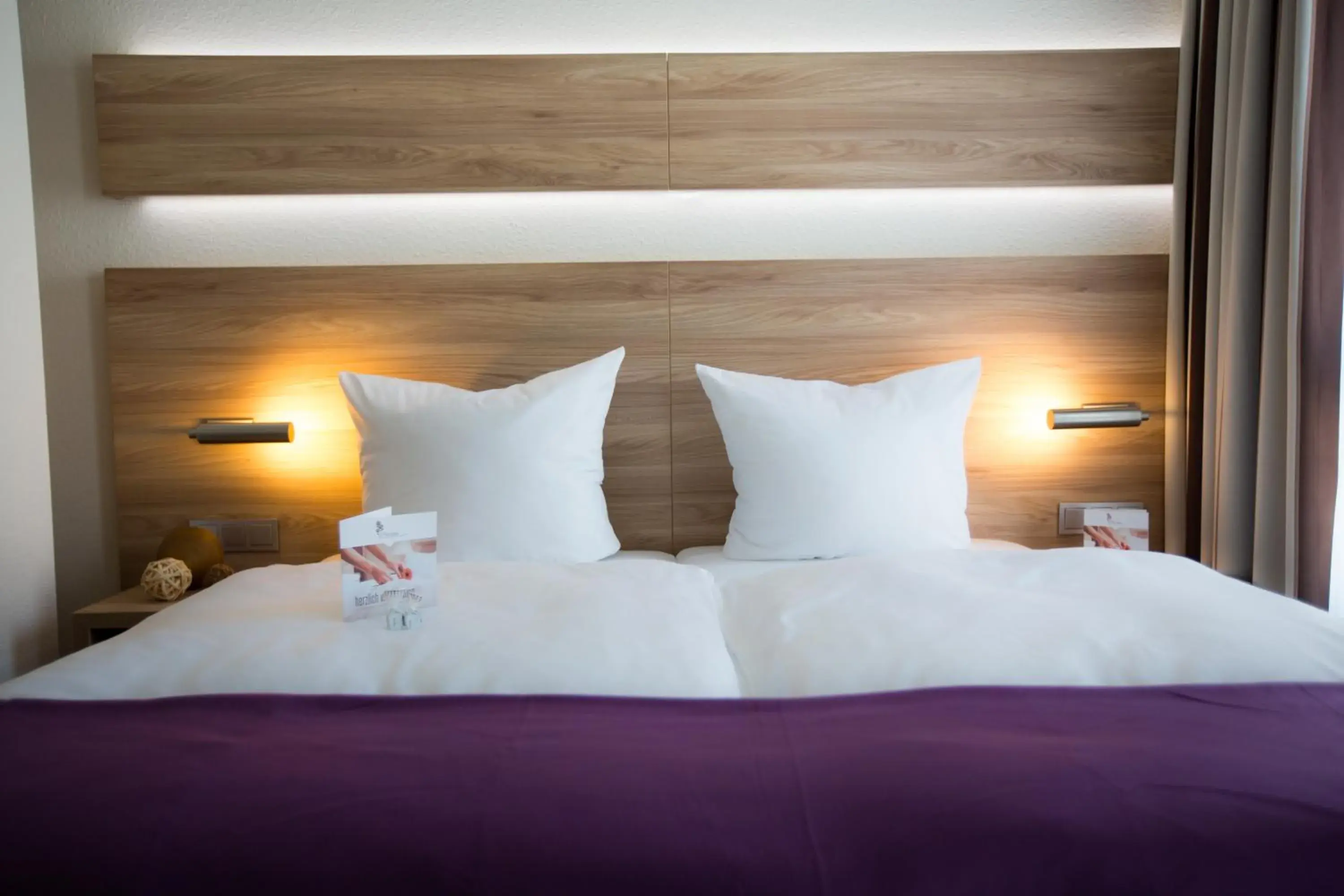 Deluxe Room B in Hotel & Restaurant Rose Deluxe Room B in Hotel & Restaurant Rose