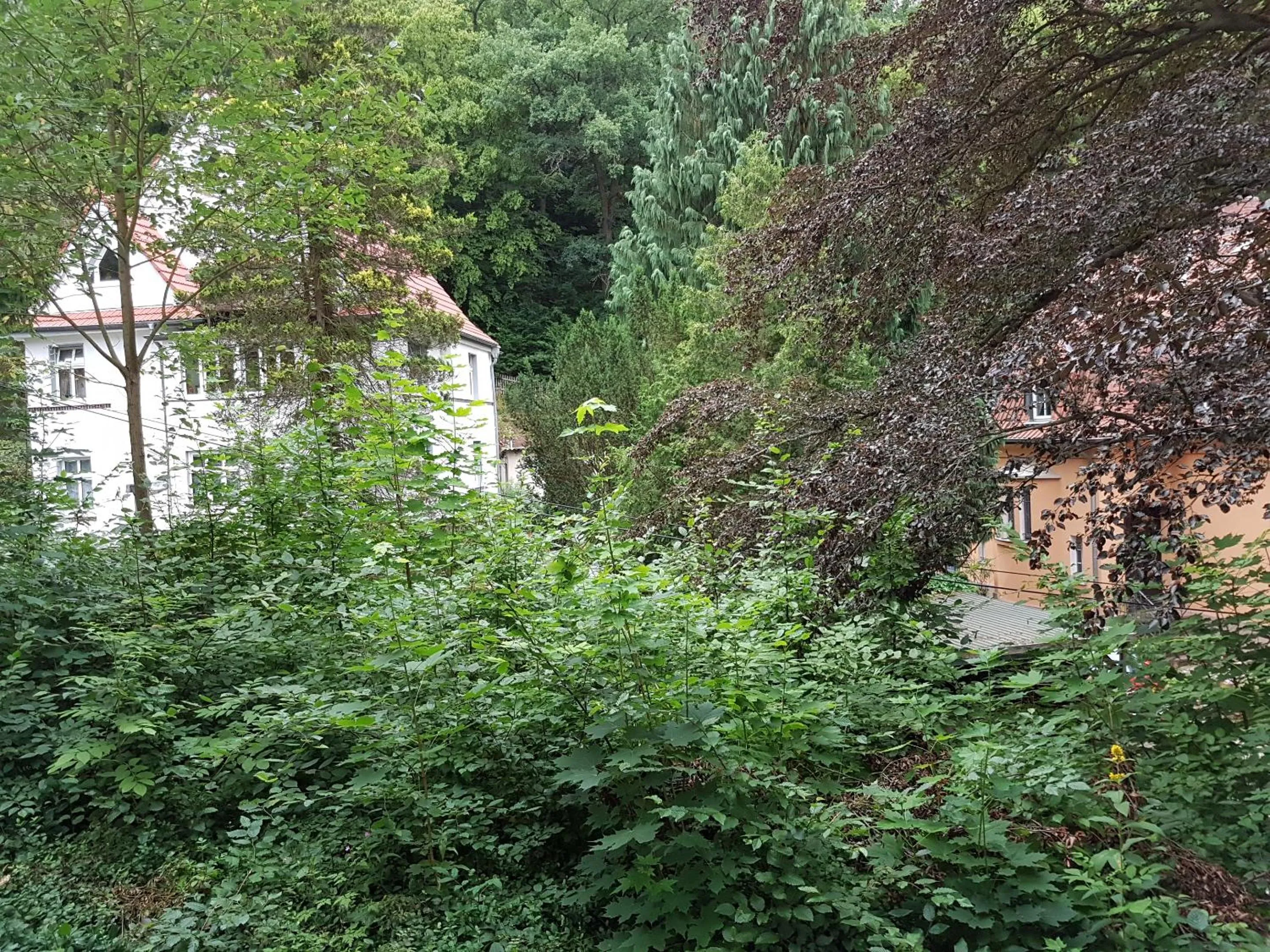 Neighbourhood in Hotel - Restaurant Sophienaue