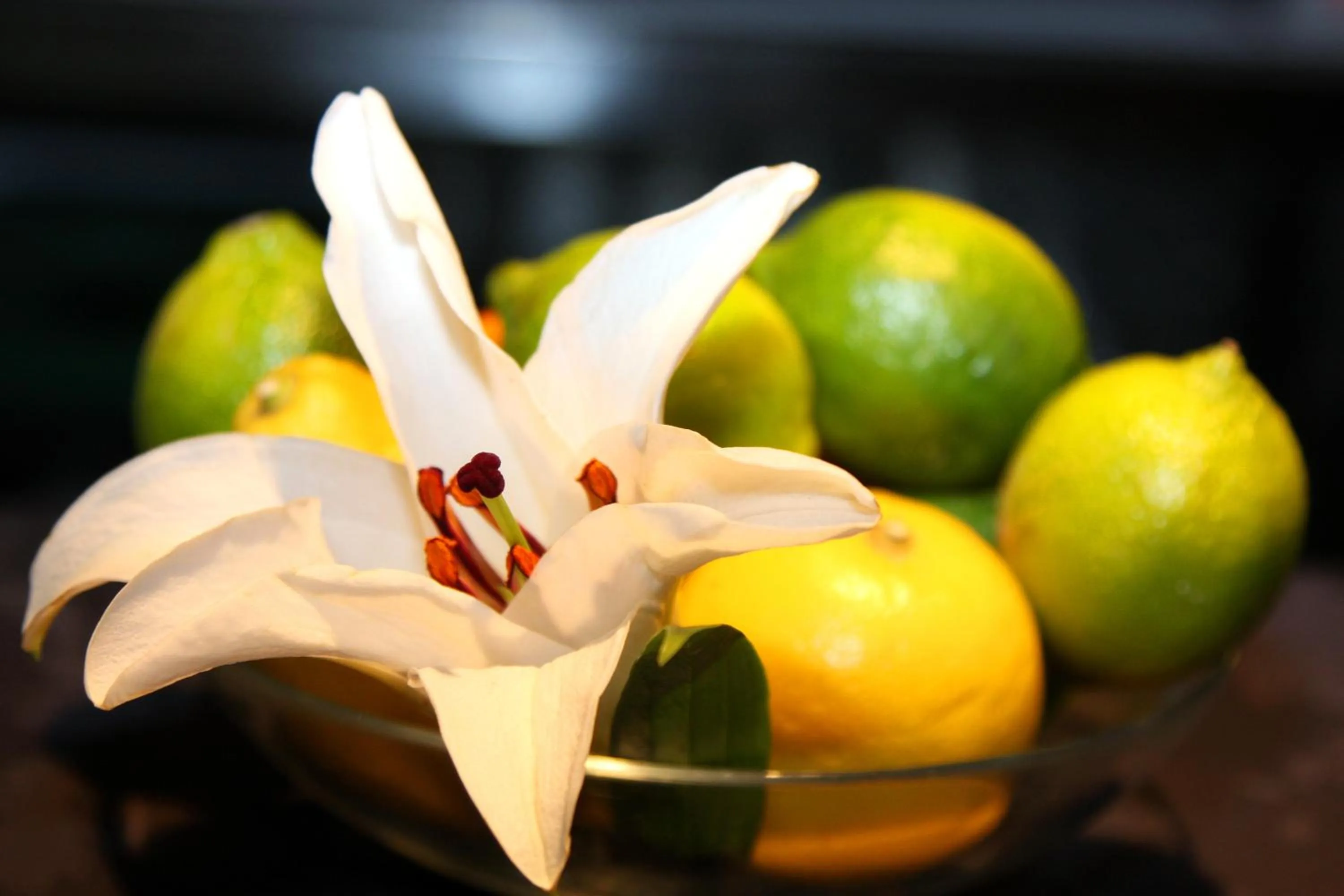 Decorative detail in Hotel Ibis Styles La Rioja Arnedo