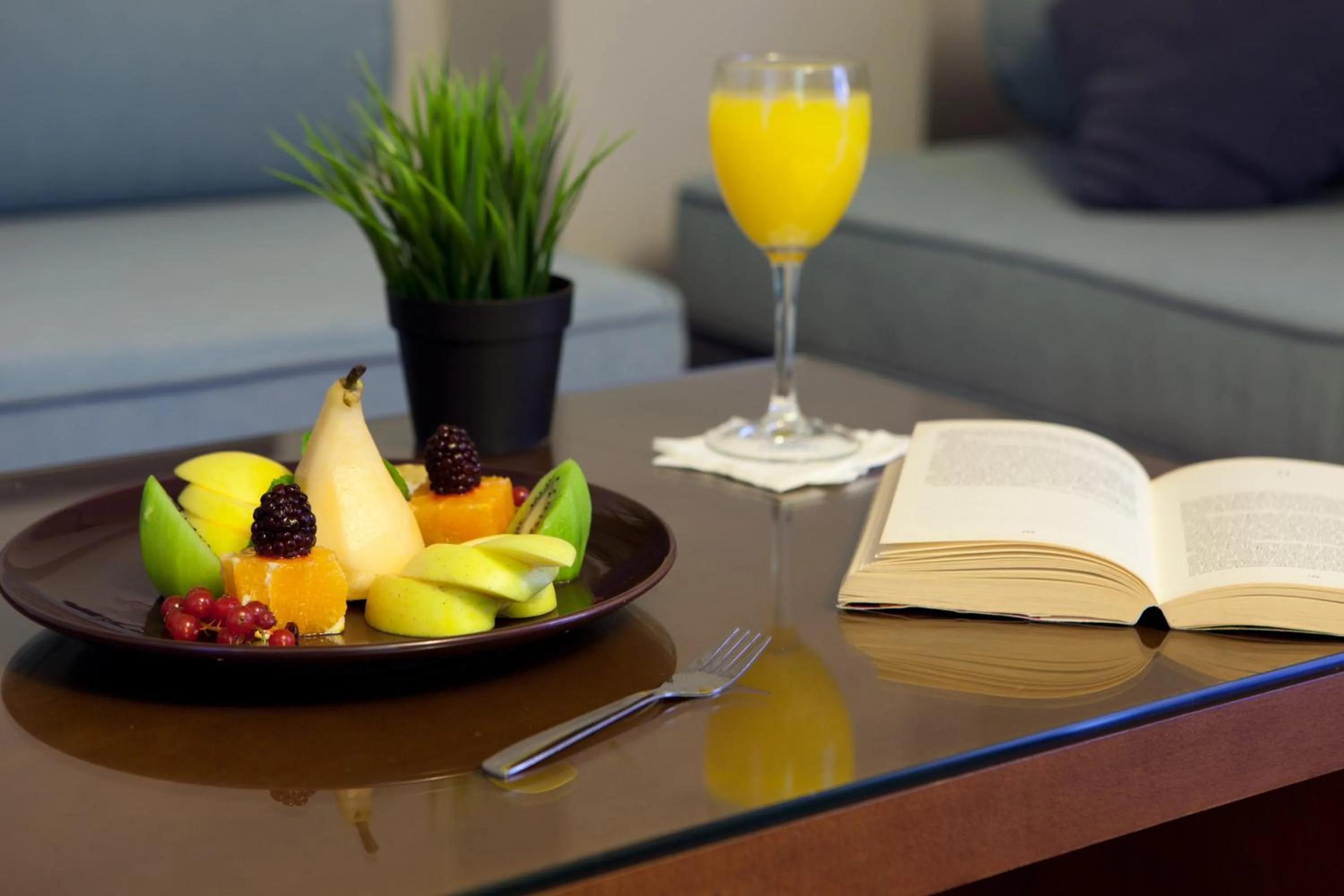 Food and drinks in Porcel Avant