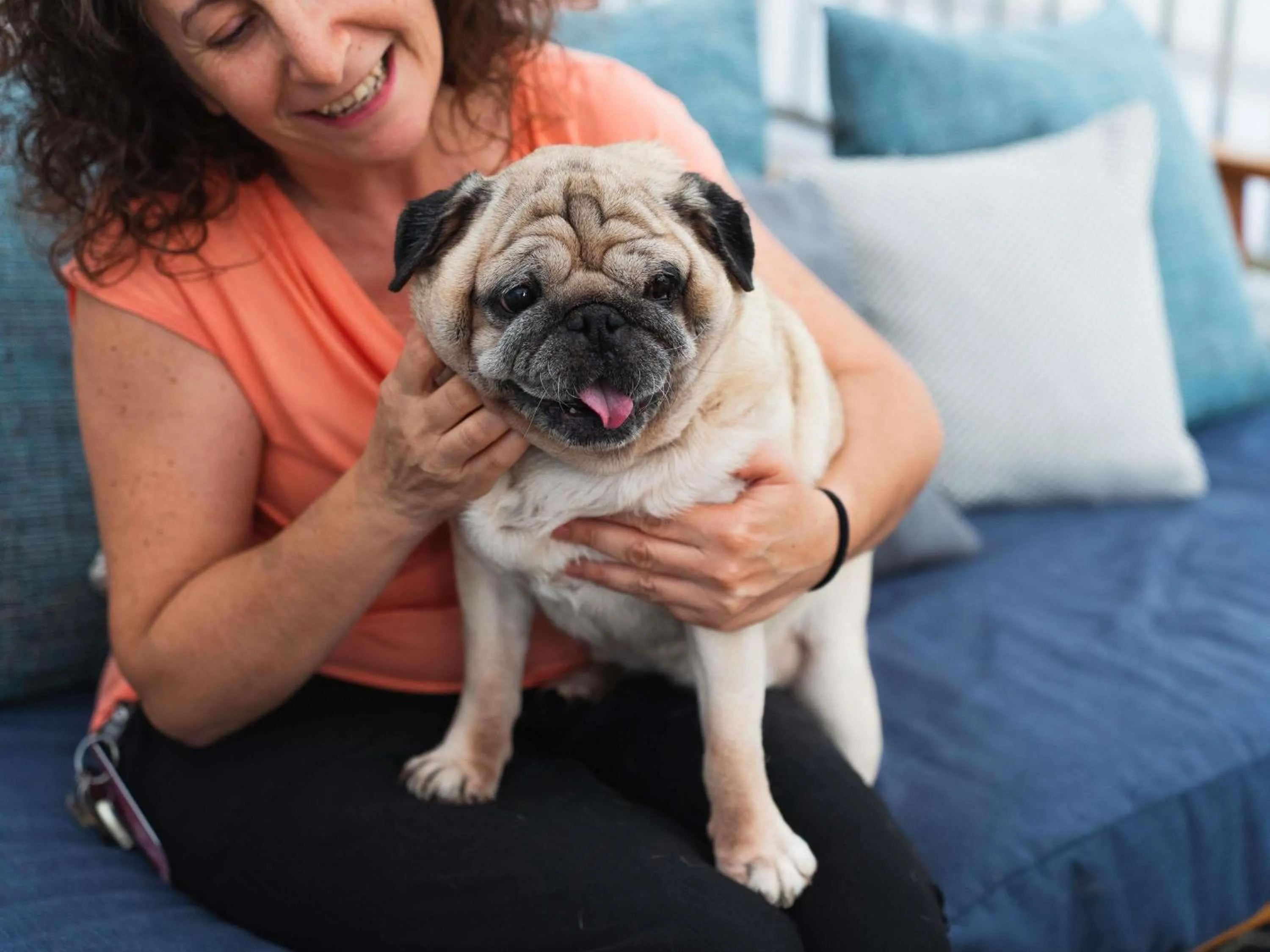 Other in ibis Styles Barcelona City Bogatell