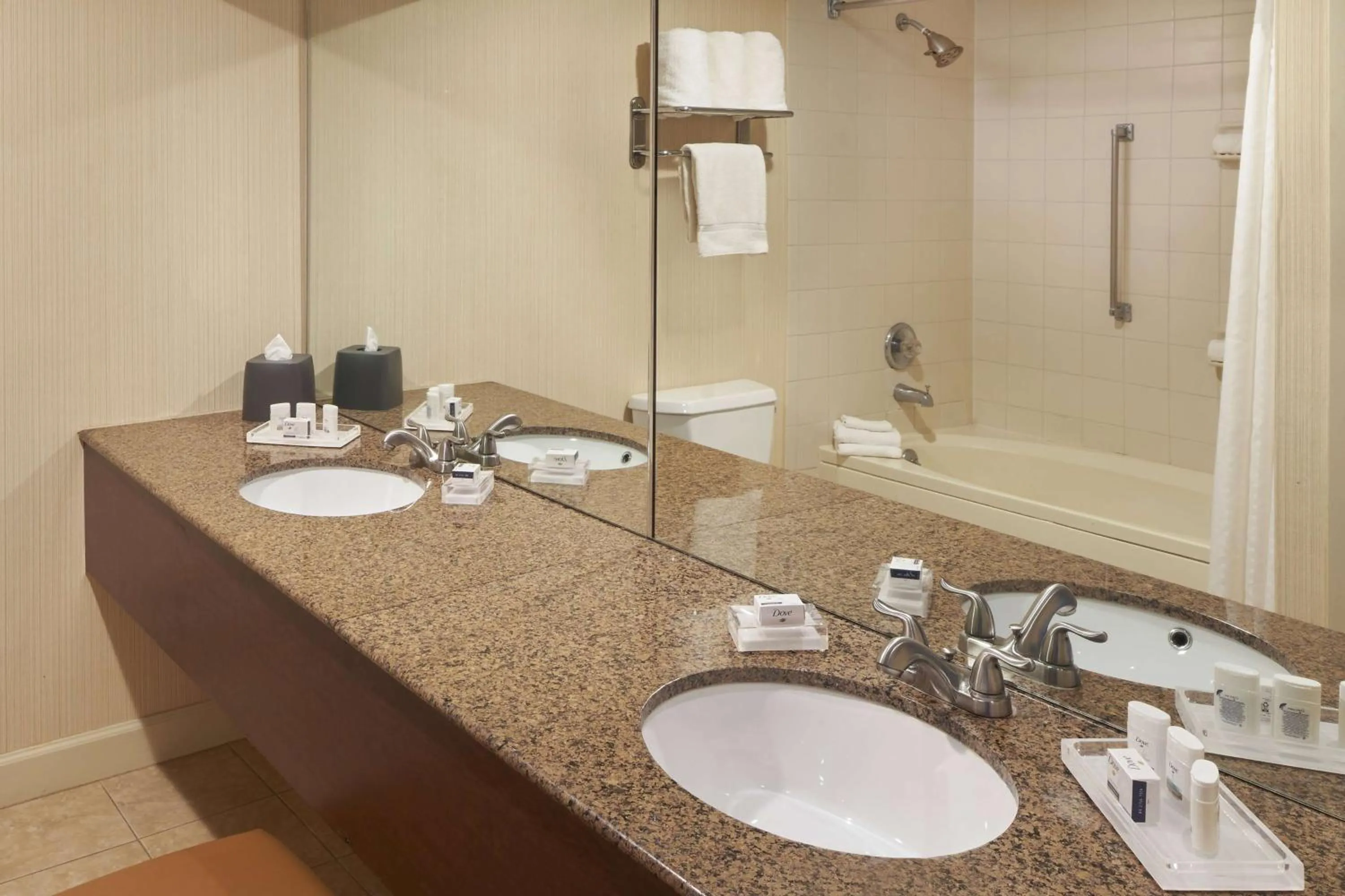 Bathroom in Holiday Inn - Executive Center-Columbia Mall, an IHG Hotel
