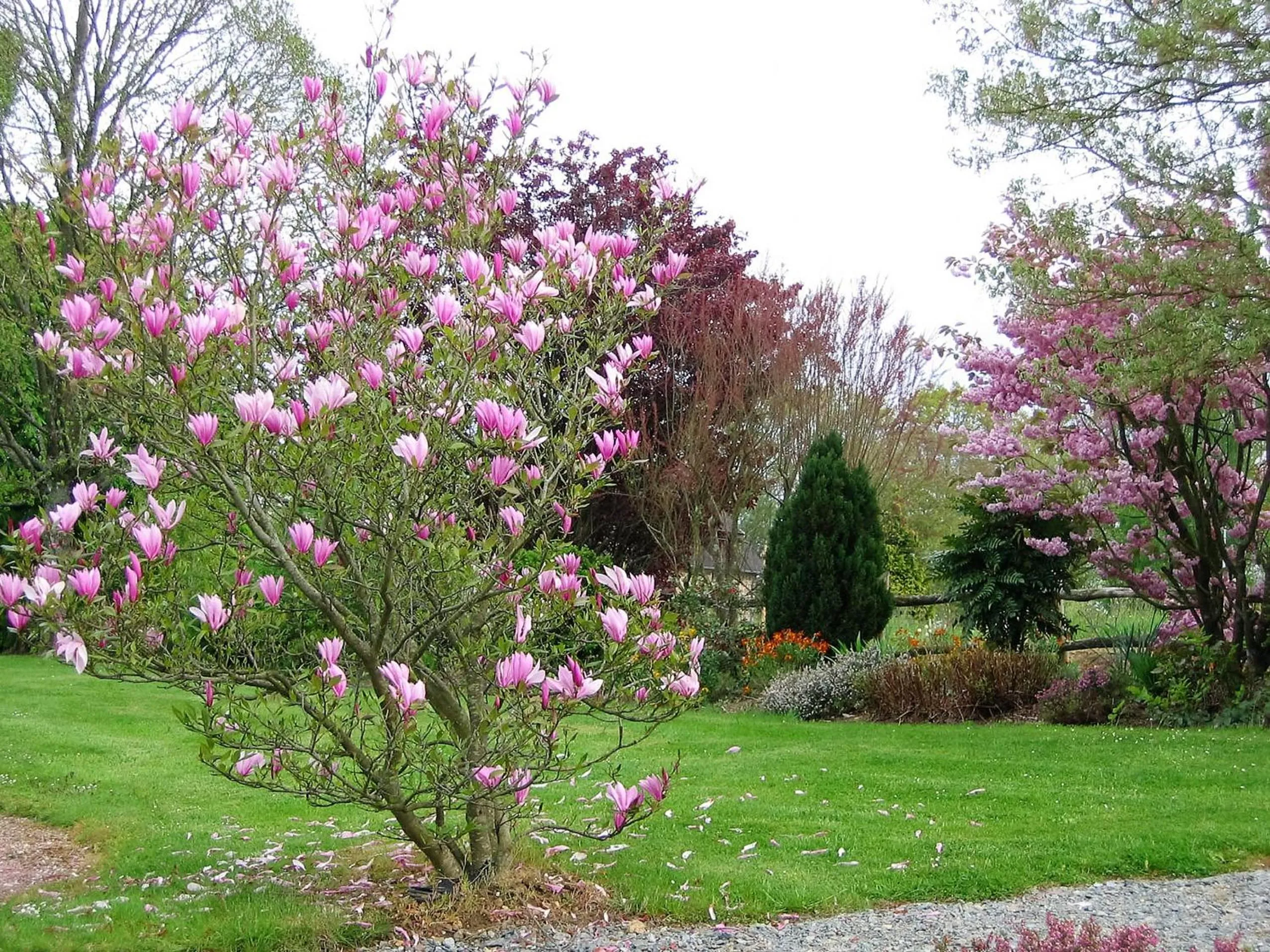 Garden view in Auberge d'Andaines